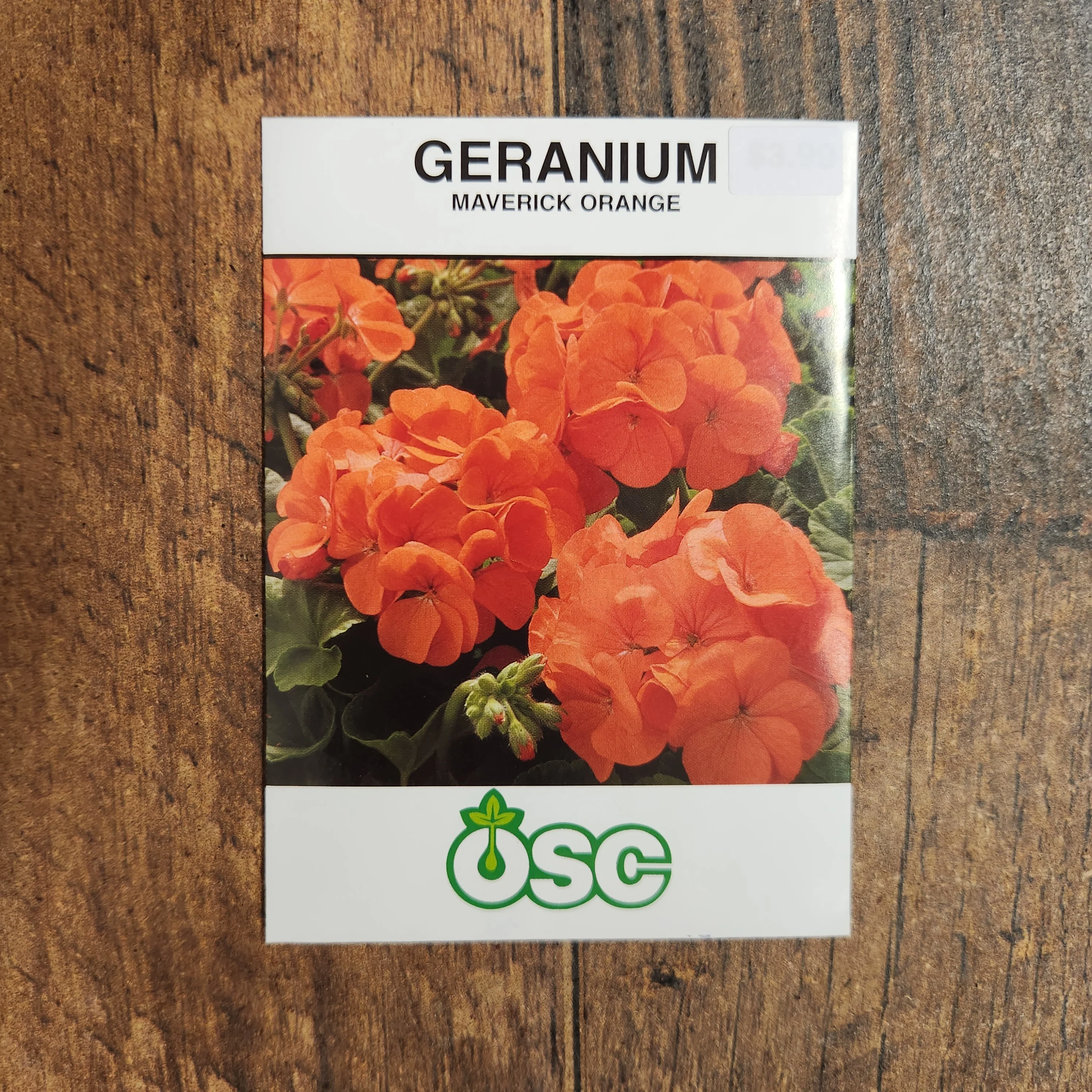 Géranium 'Maverick Orange' - Image 2