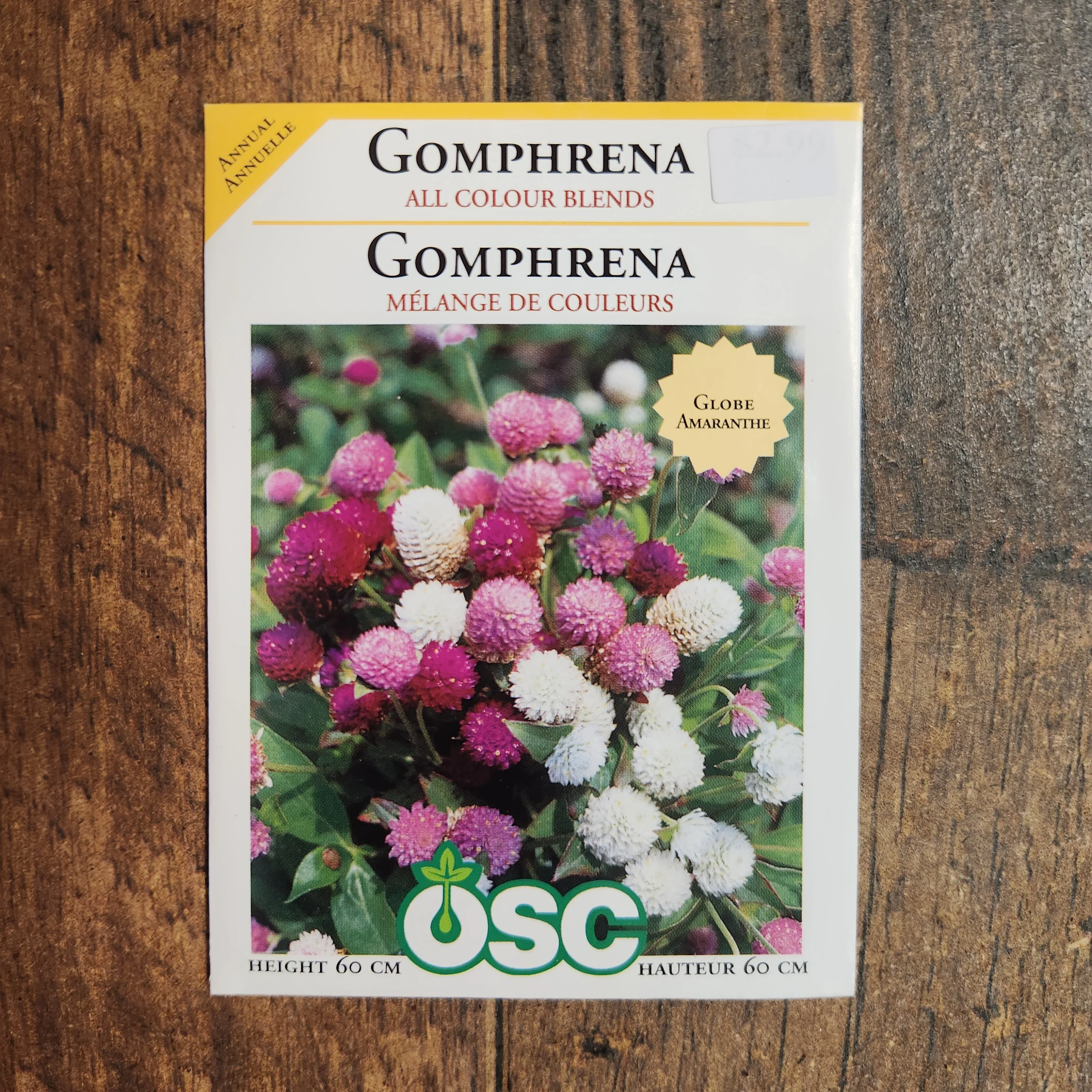 Gomphrena 'Mélanges de Couleurs' - Image 2