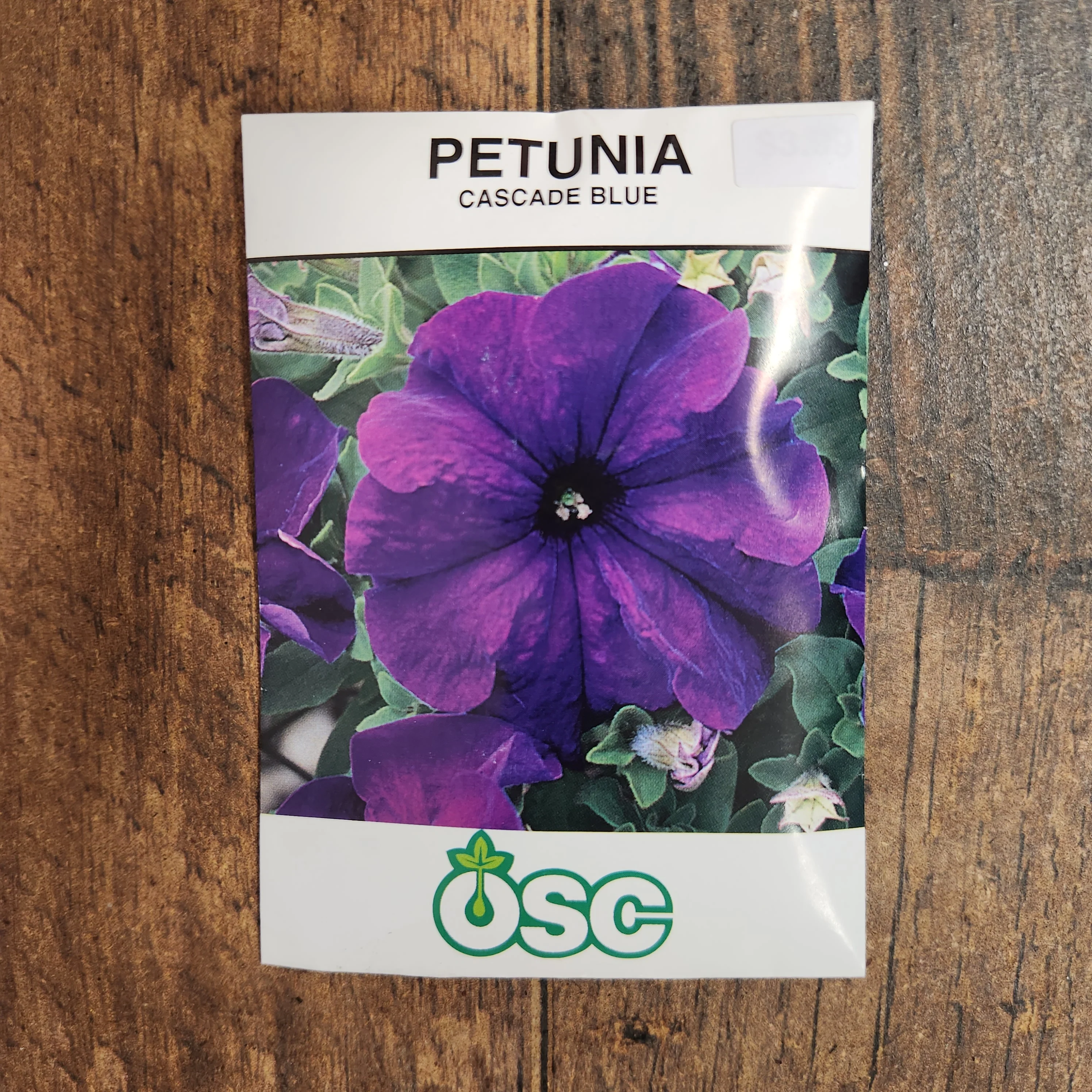 Pétunia cascade 'Blue' - Image 2