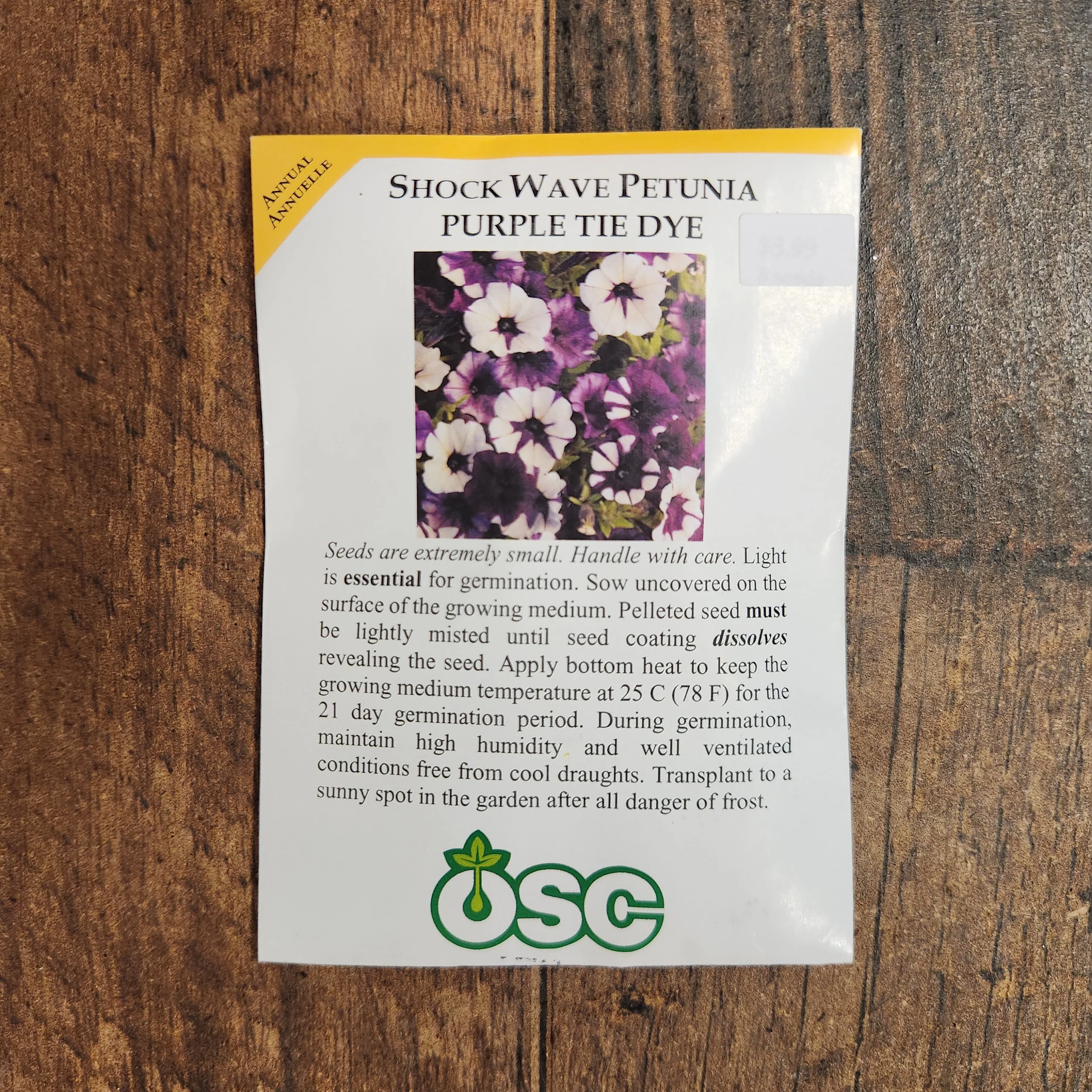 Pétunia Shock Wave 'Purple Tie Dye' - Image 2