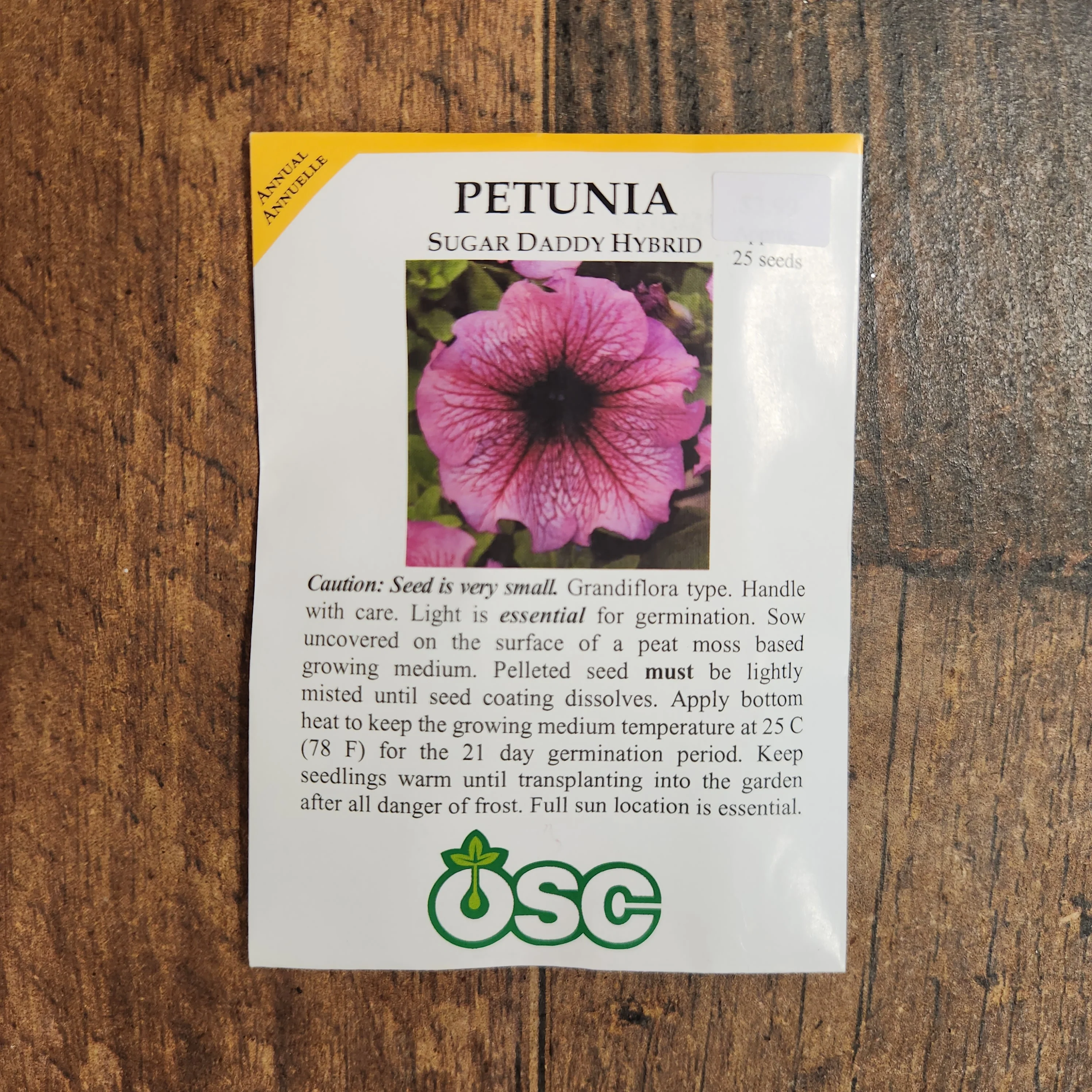 Pétunia grandiflora 'Sugar Daddy' - Image 2
