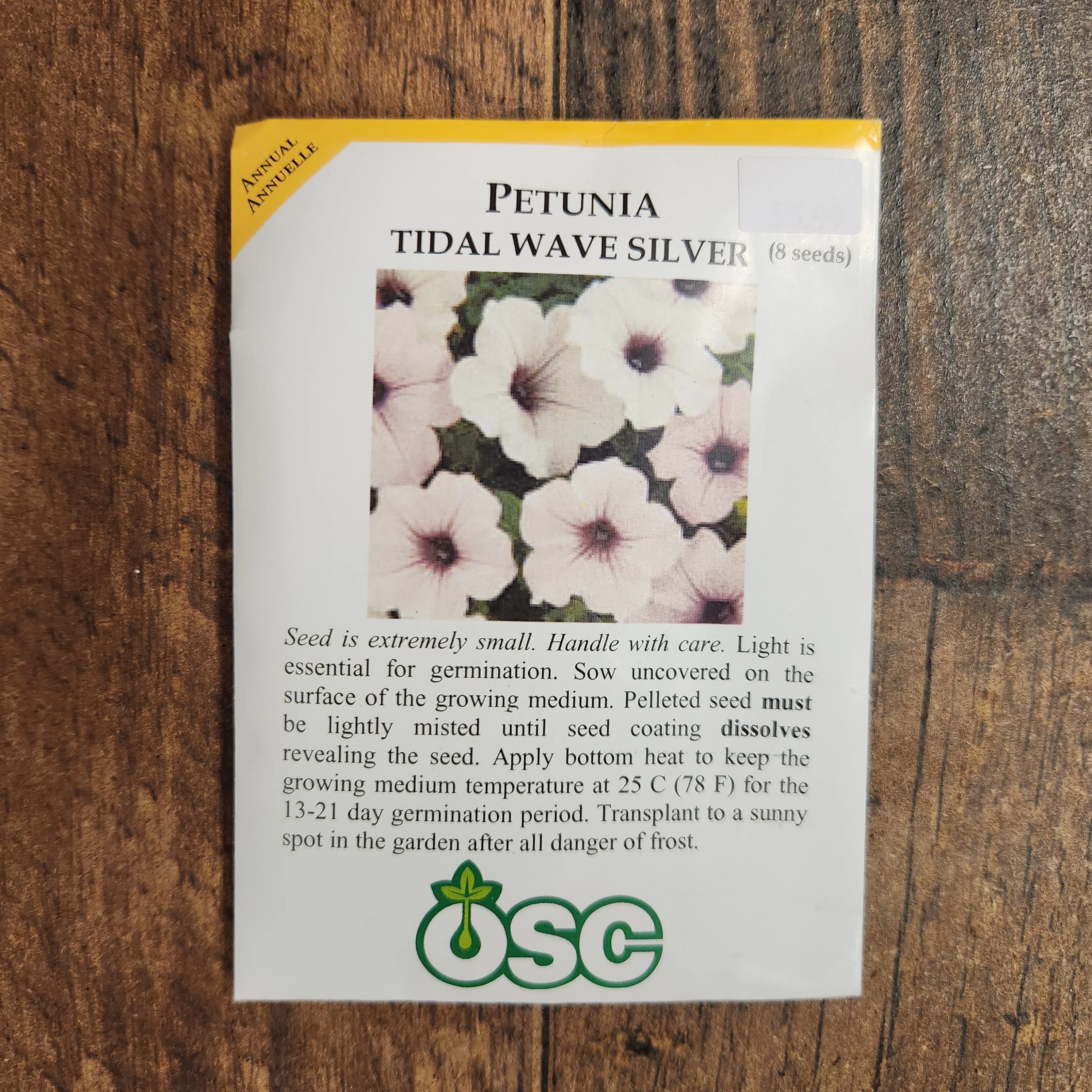 Pétunia tidal wave 'Silver' - Image 2
