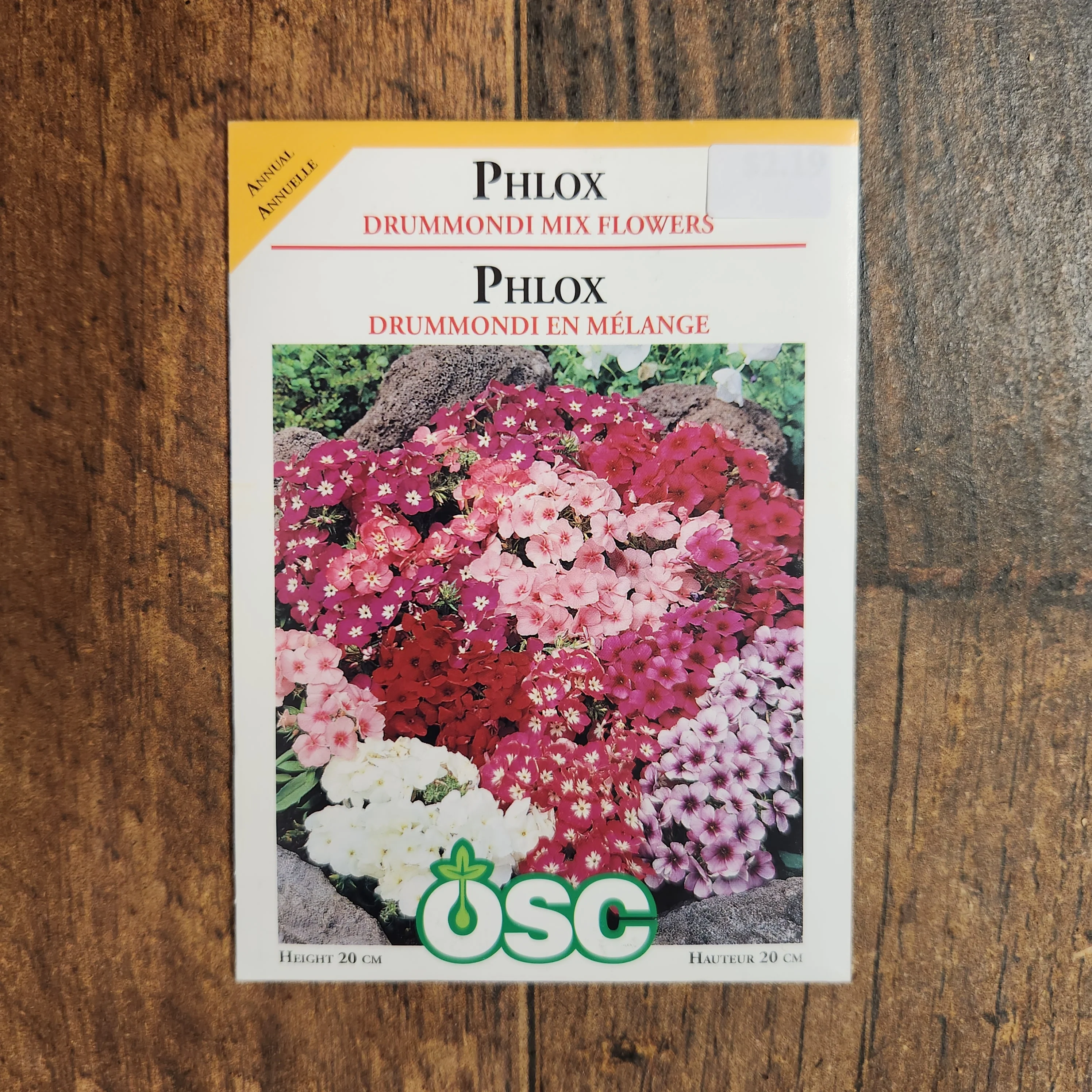 Phlox 'Drummondii Mix Flowers' - Image 2