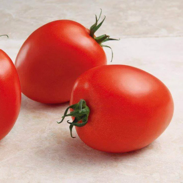Tomate 'Namib'