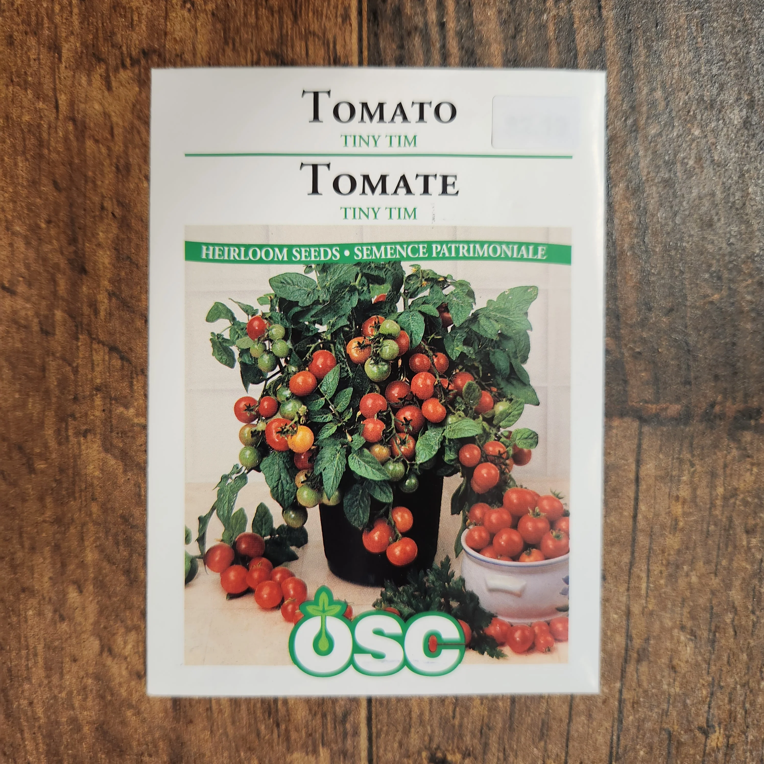 Tomate 'Tiny Tim' - Image 2