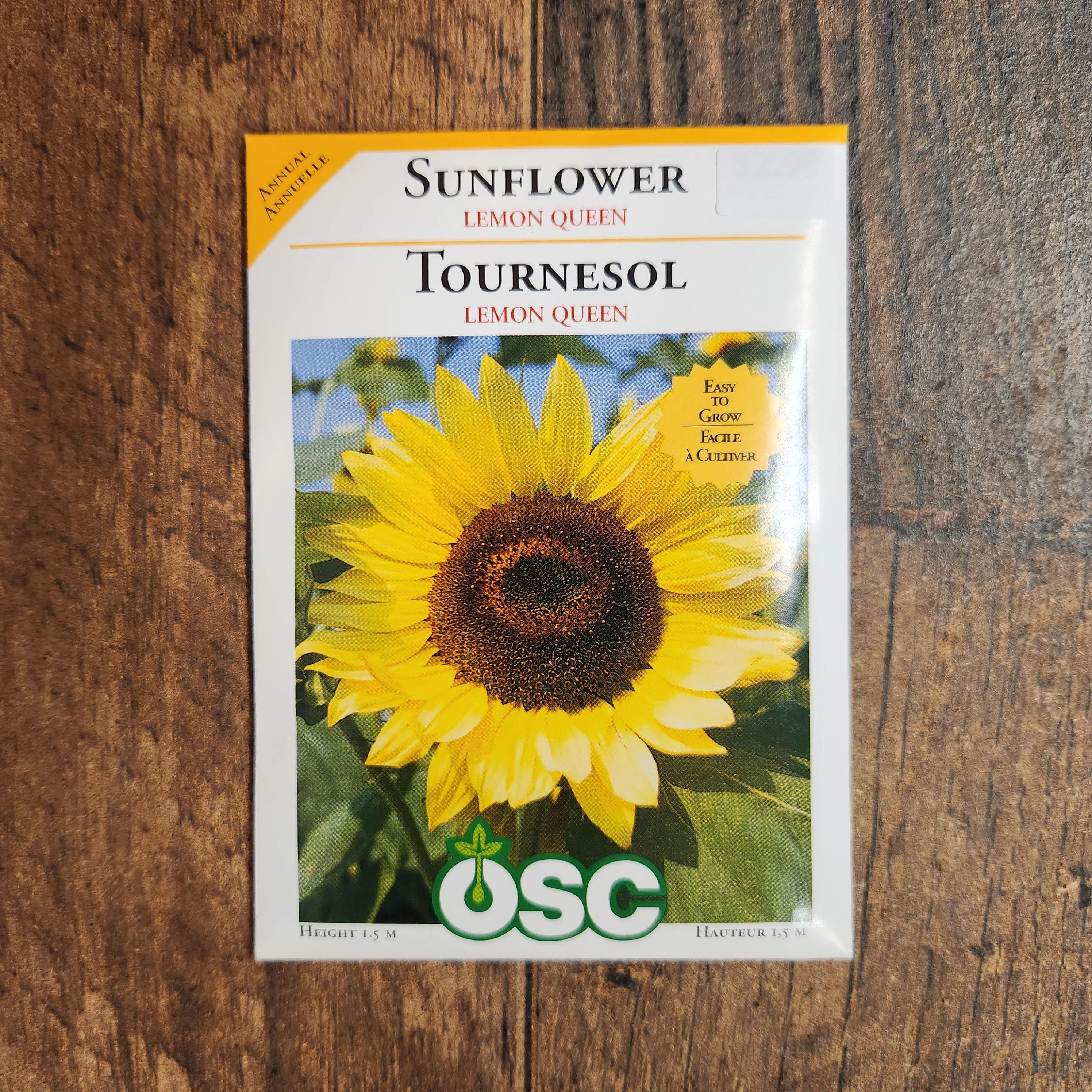 Tournesol 'Lemon Queen' - Image 2