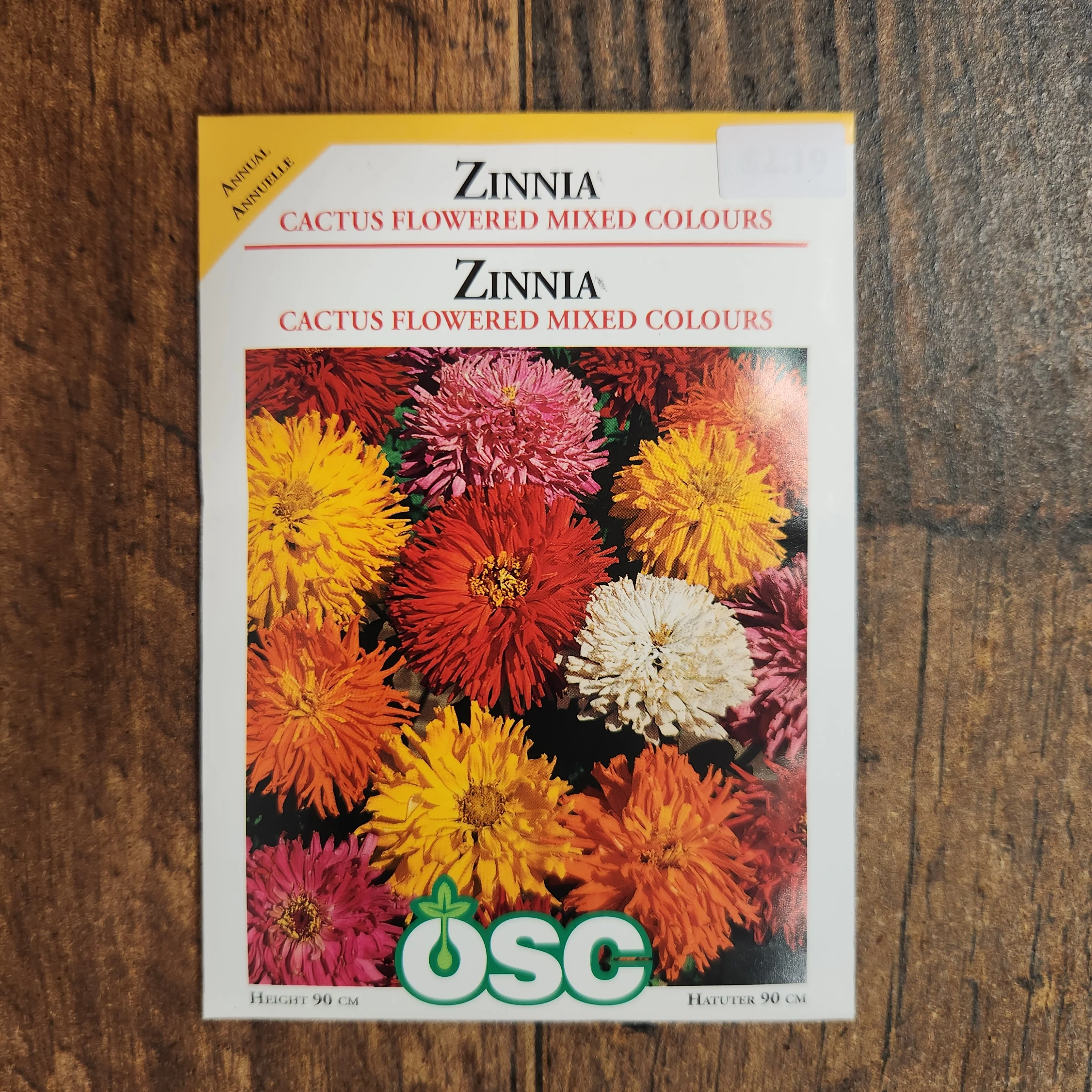 Mélange de zinnia à fleurs de cactus - Image 2