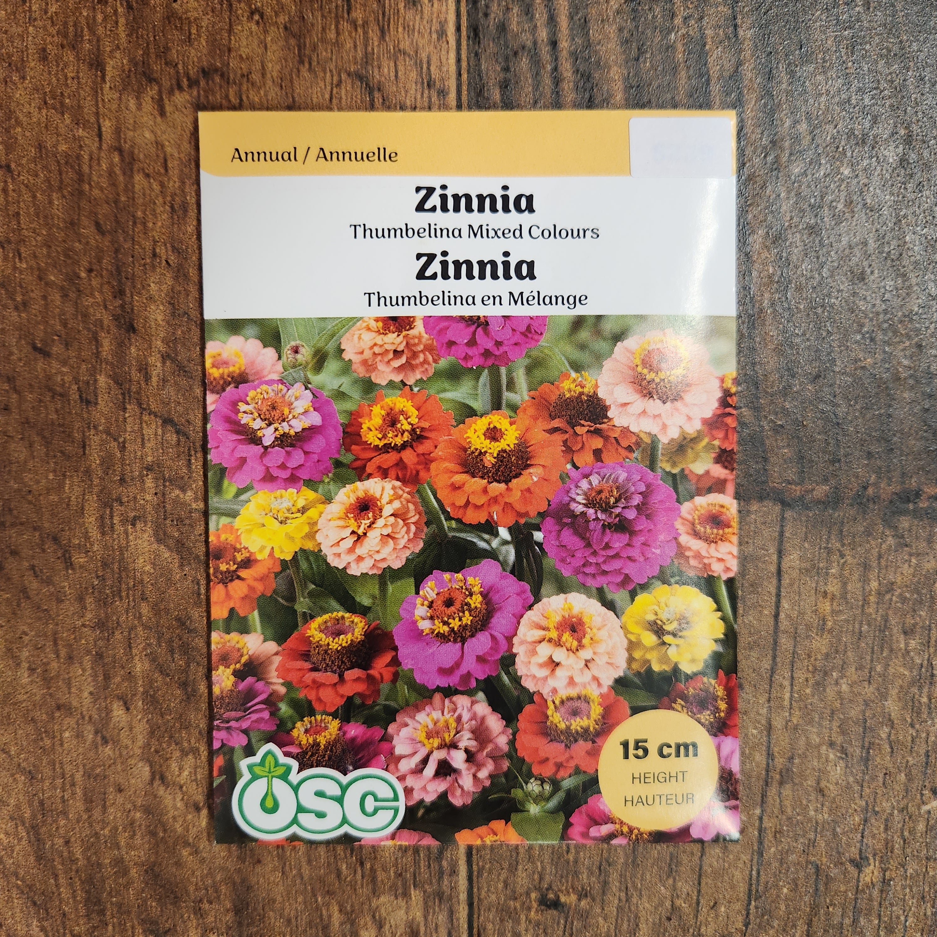 Mélange de zinnia 'Thumbelina' - Image 2