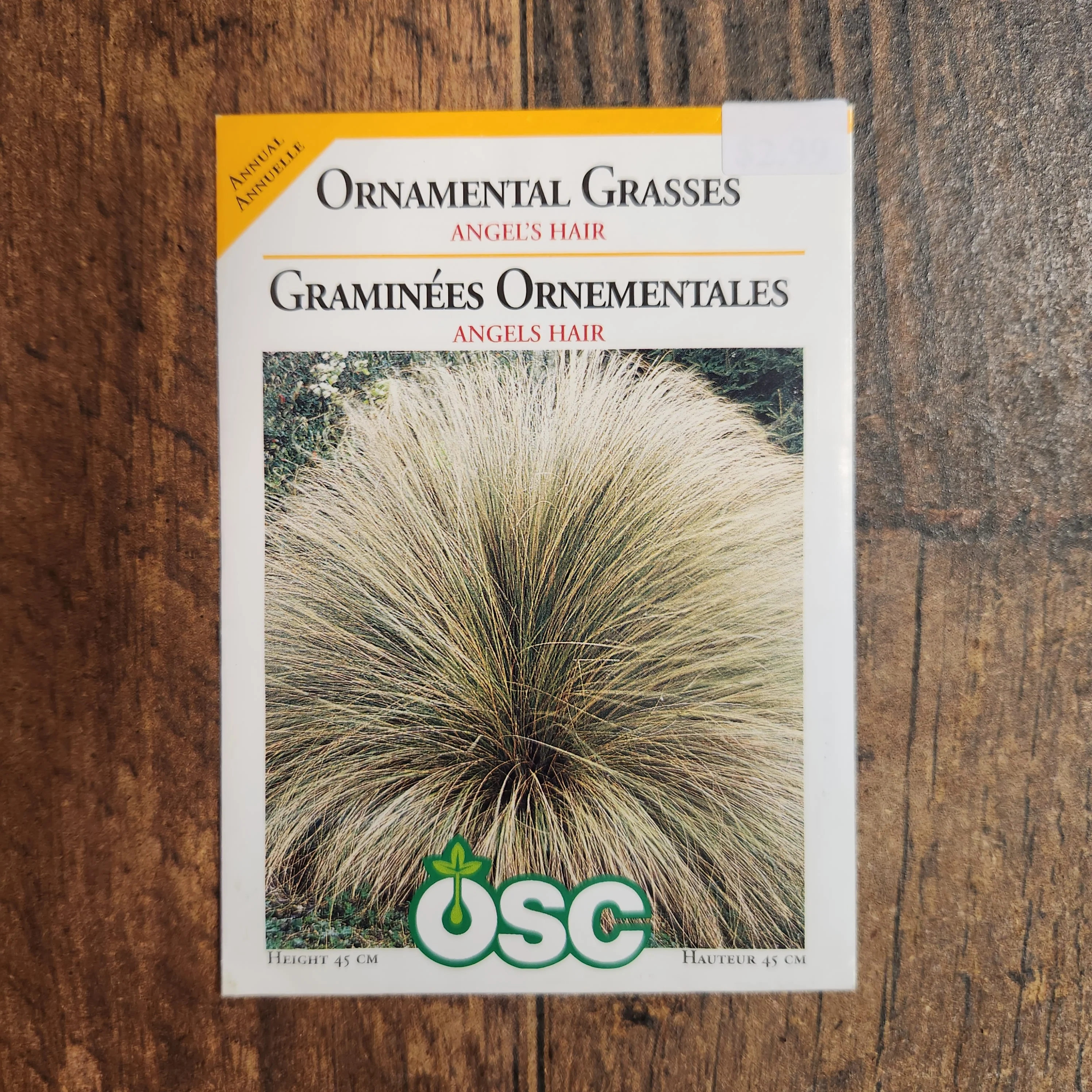 Herbe ornementale 'Angels Hair' - Image 2