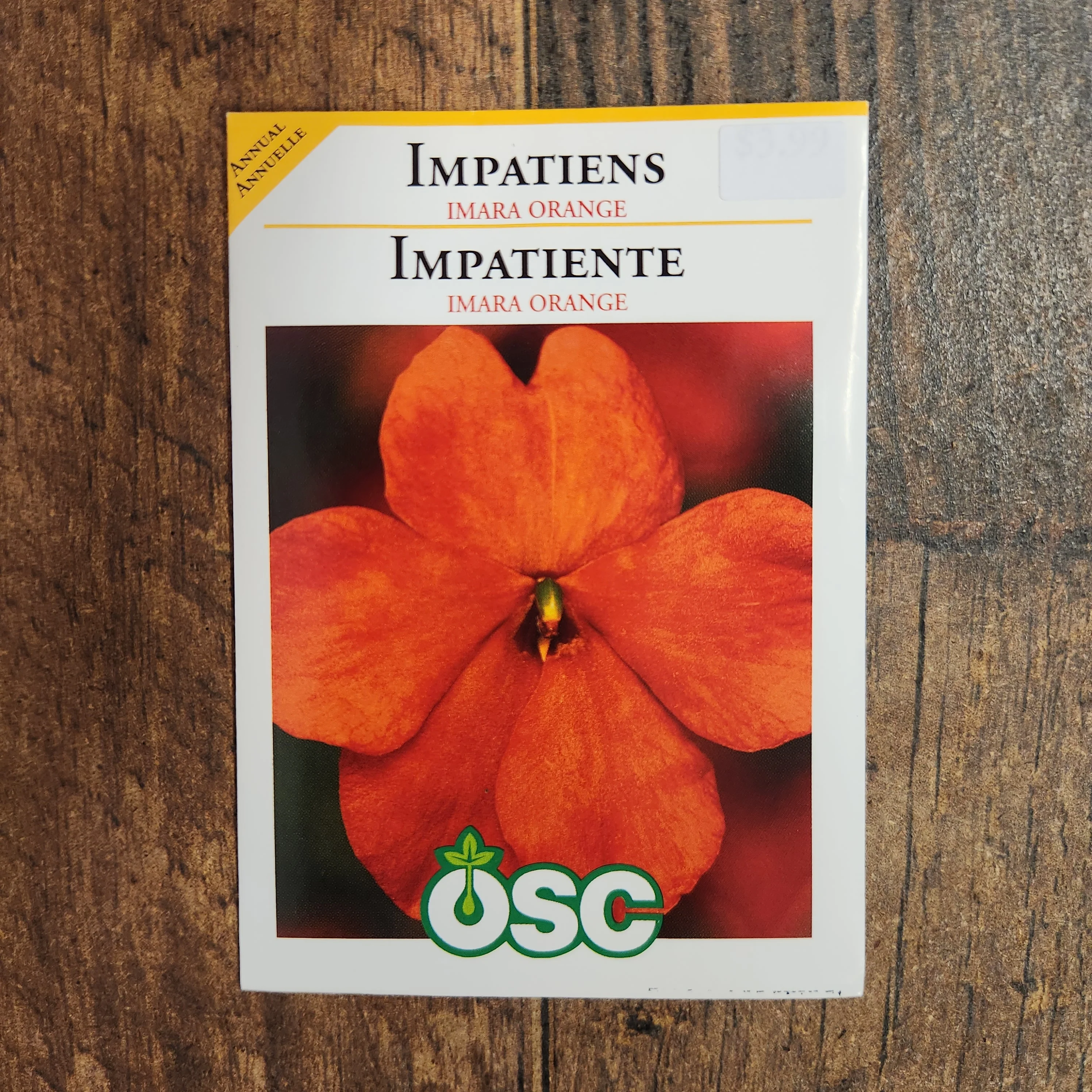 Impatiente 'Imara XDR Orange' - Image 2