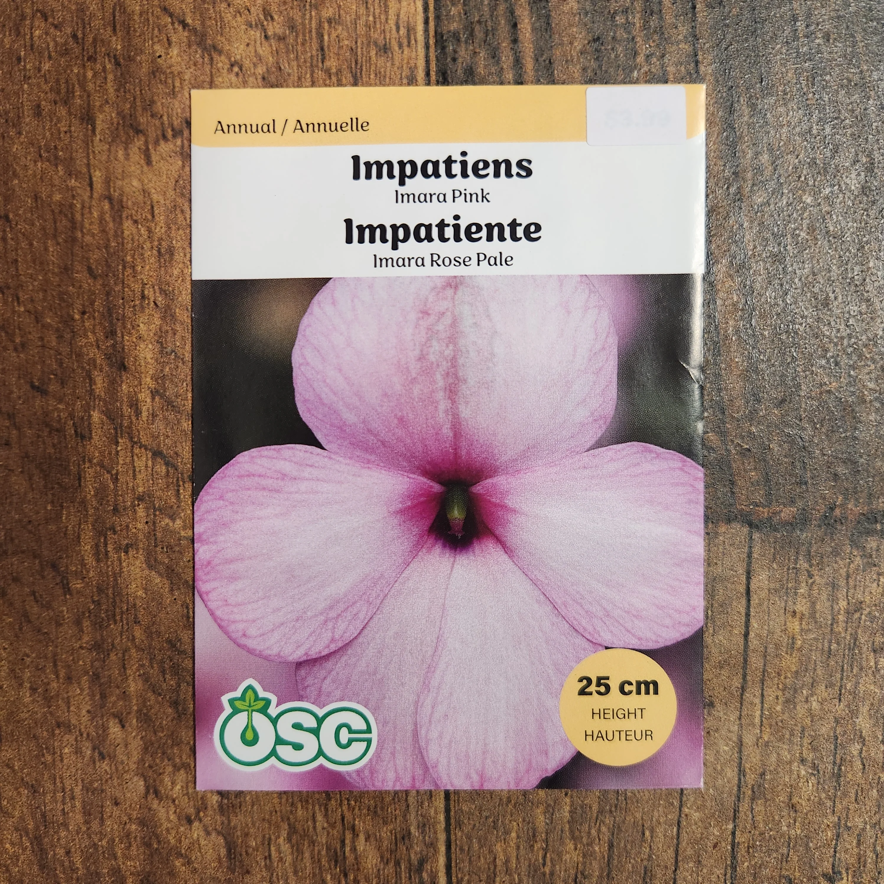 Impatiente 'Imara XDR Rose' - Image 2