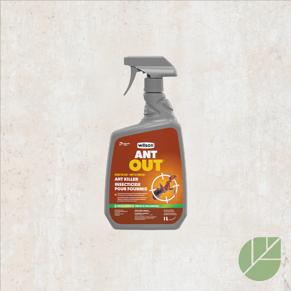 Insecticide pour fourmis AntOut® par Wilson