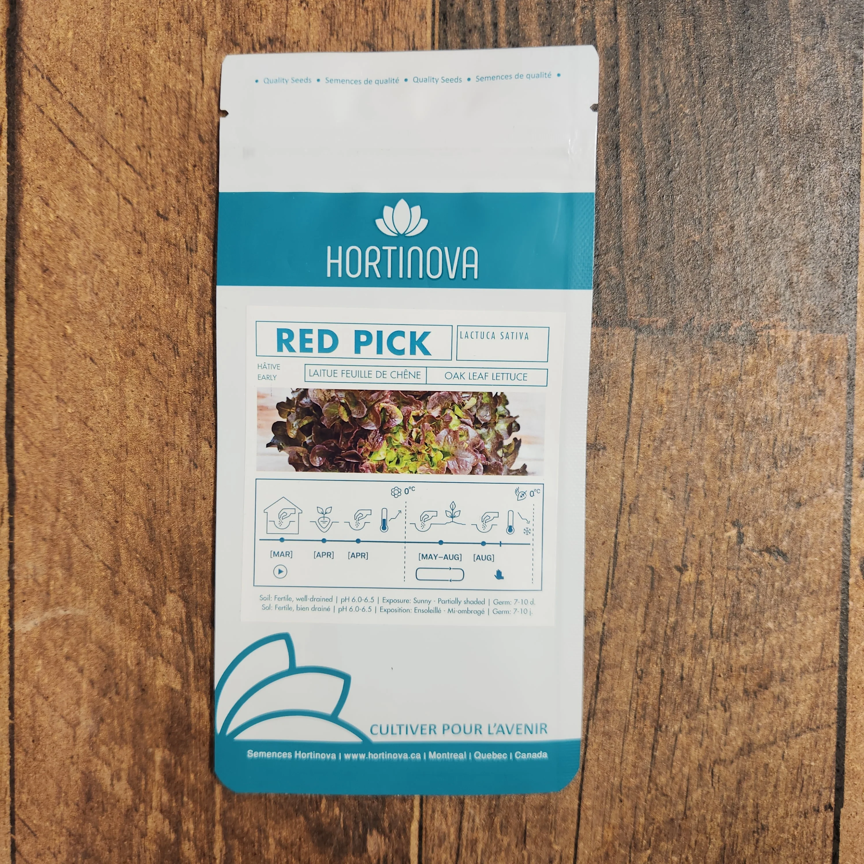 Laitue Feuille de Chêne Rouge 'RED PICK' - Image 2