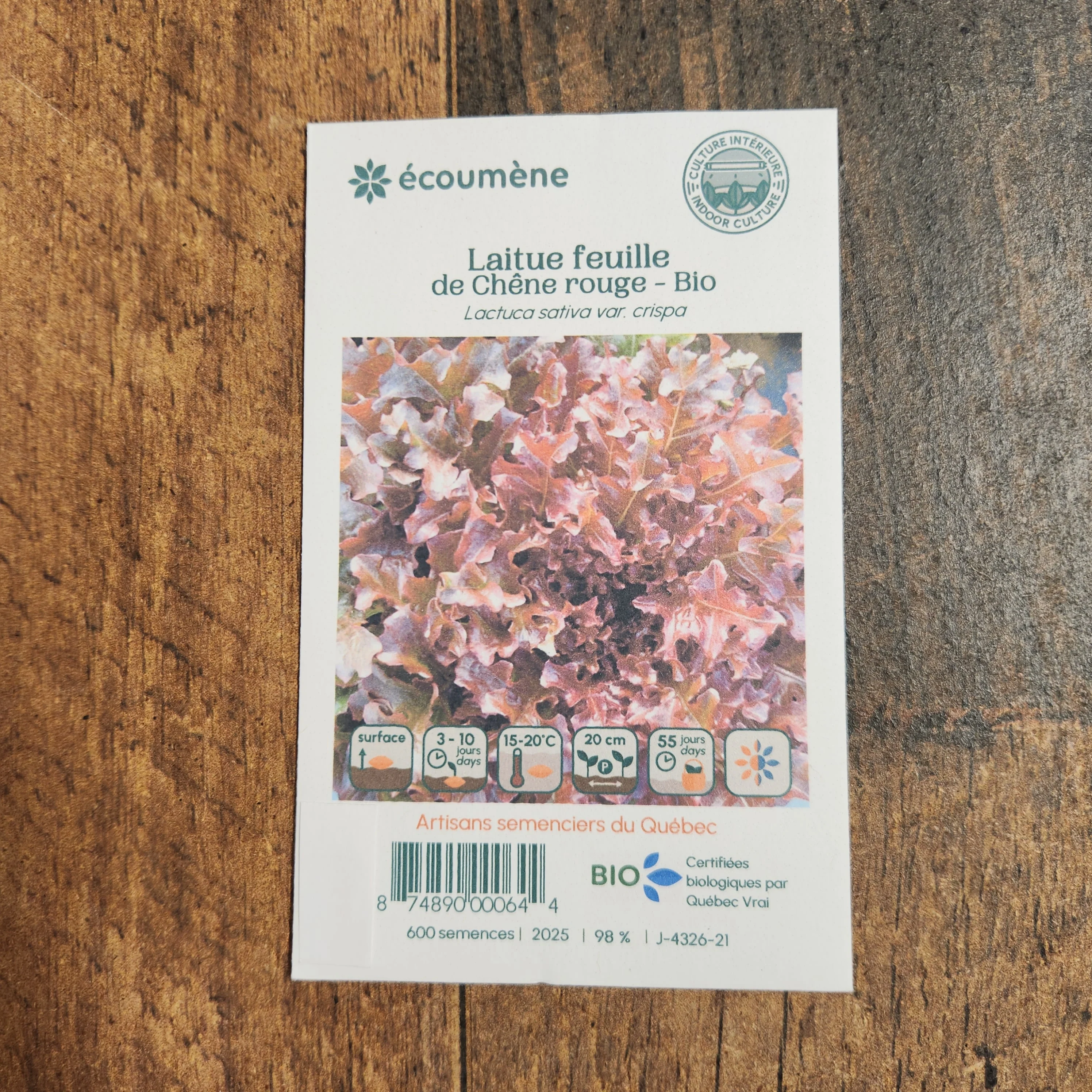 Laitue Feuille de ChĂȘne Rouge bio - Image 2