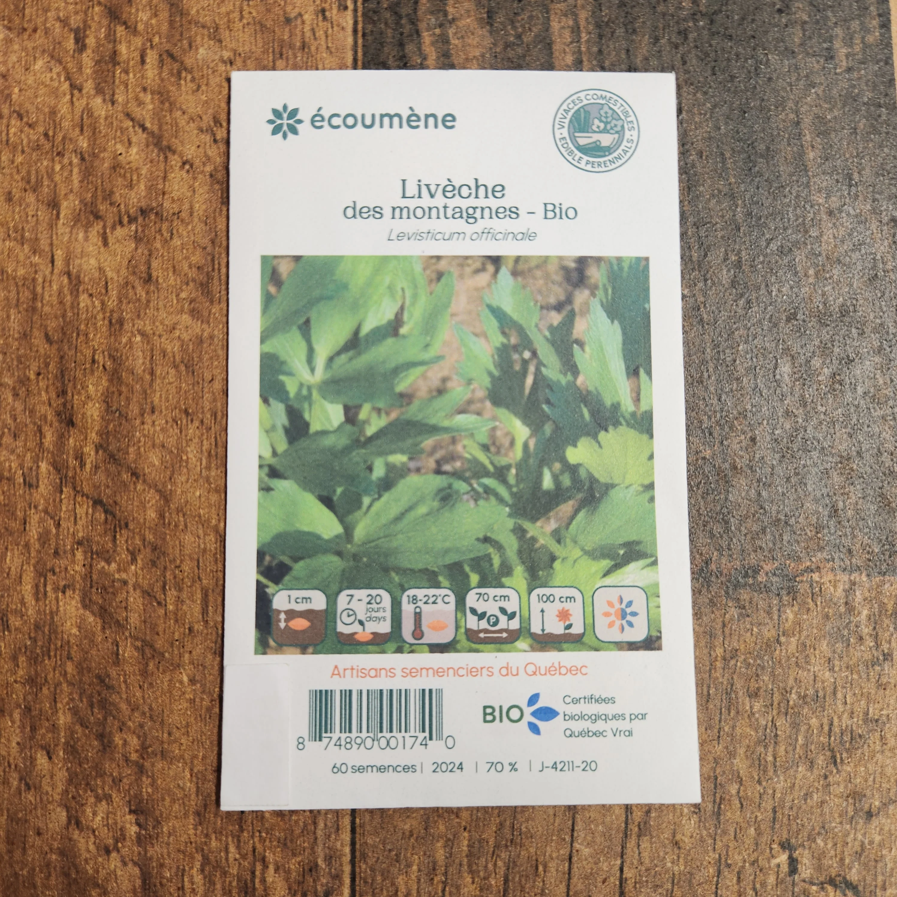 Livèche des montagnes bio - Image 2
