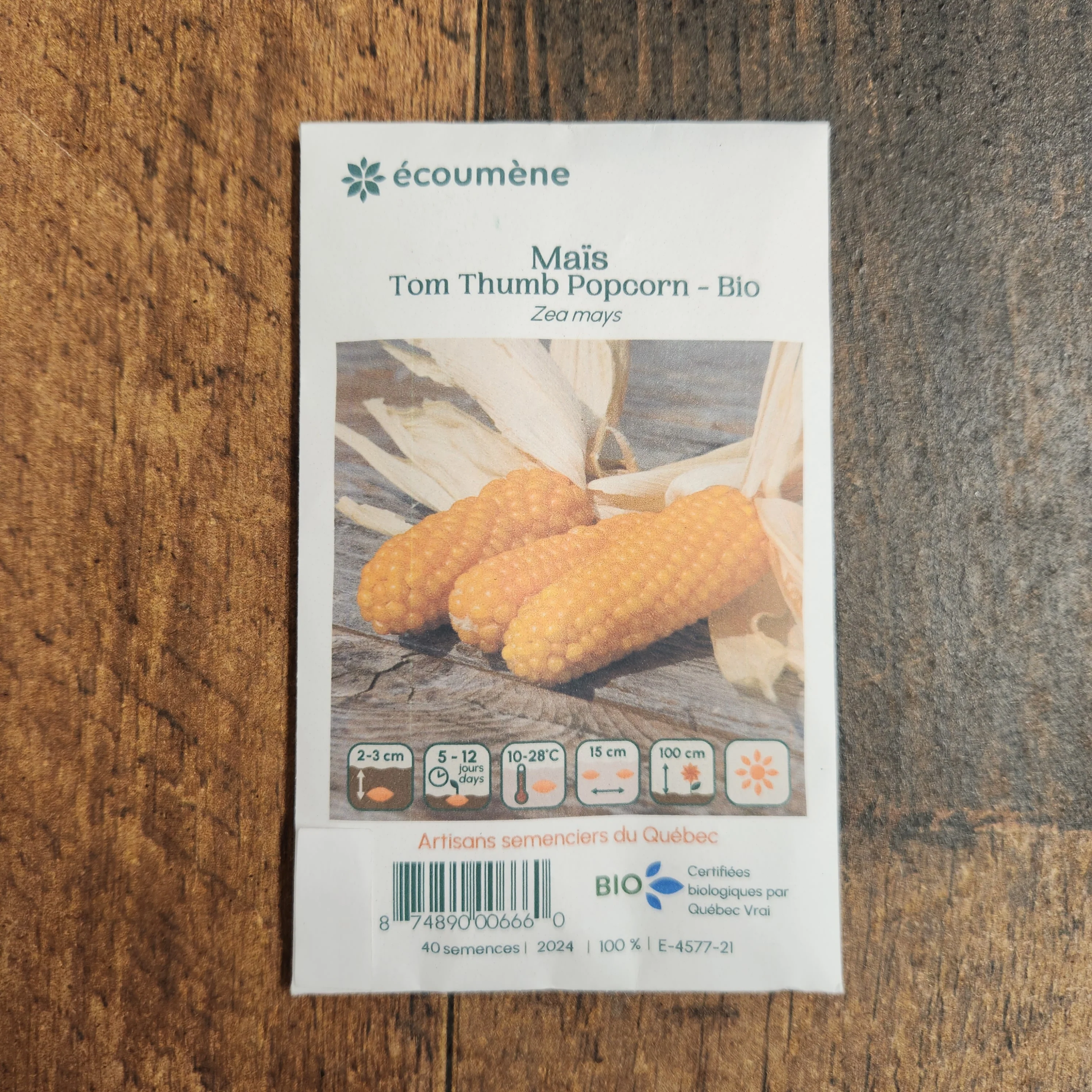Maïs 'Tom Thumb Popcorn' bio - Image 2