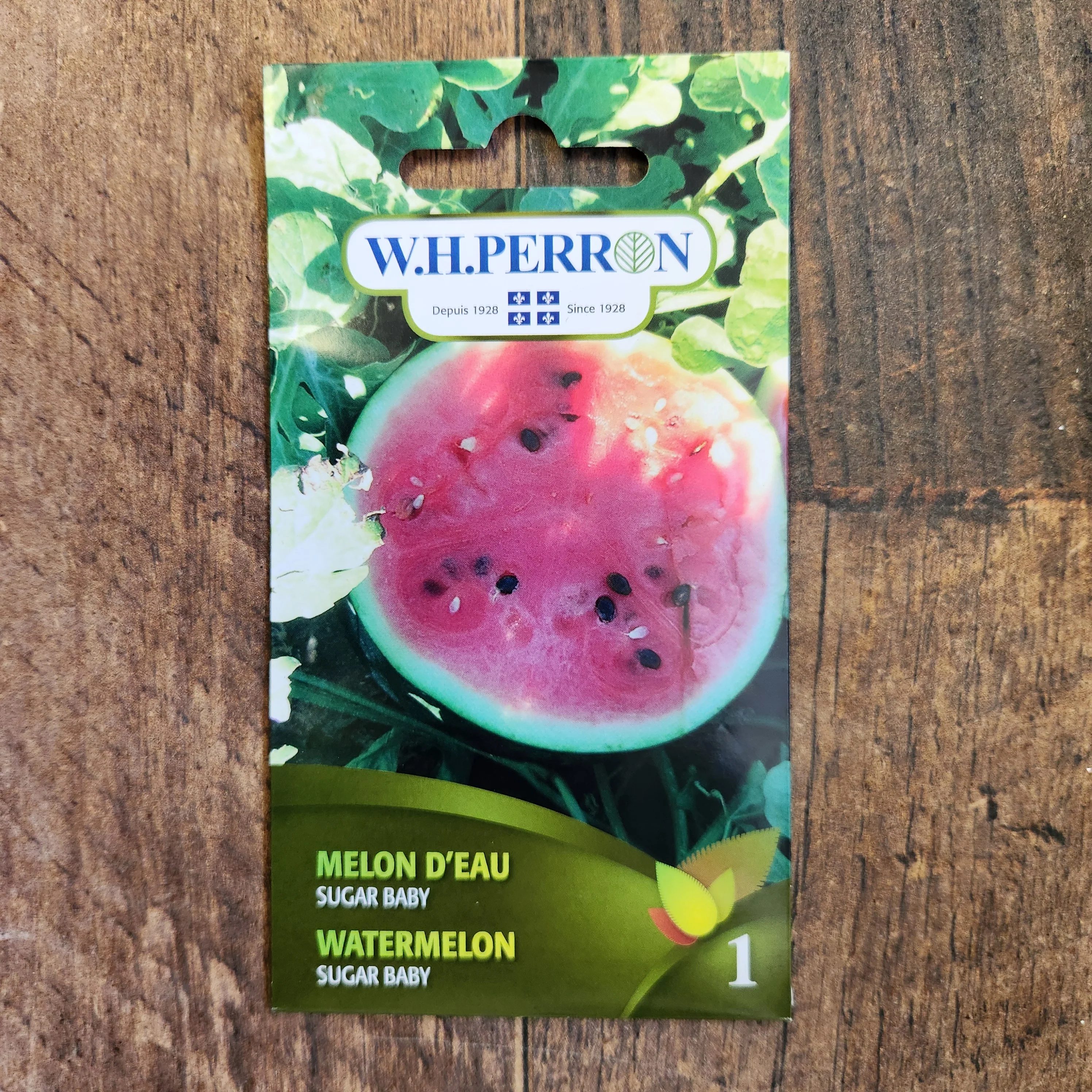 Melon d'eau 'Sugar Baby' - Image 2