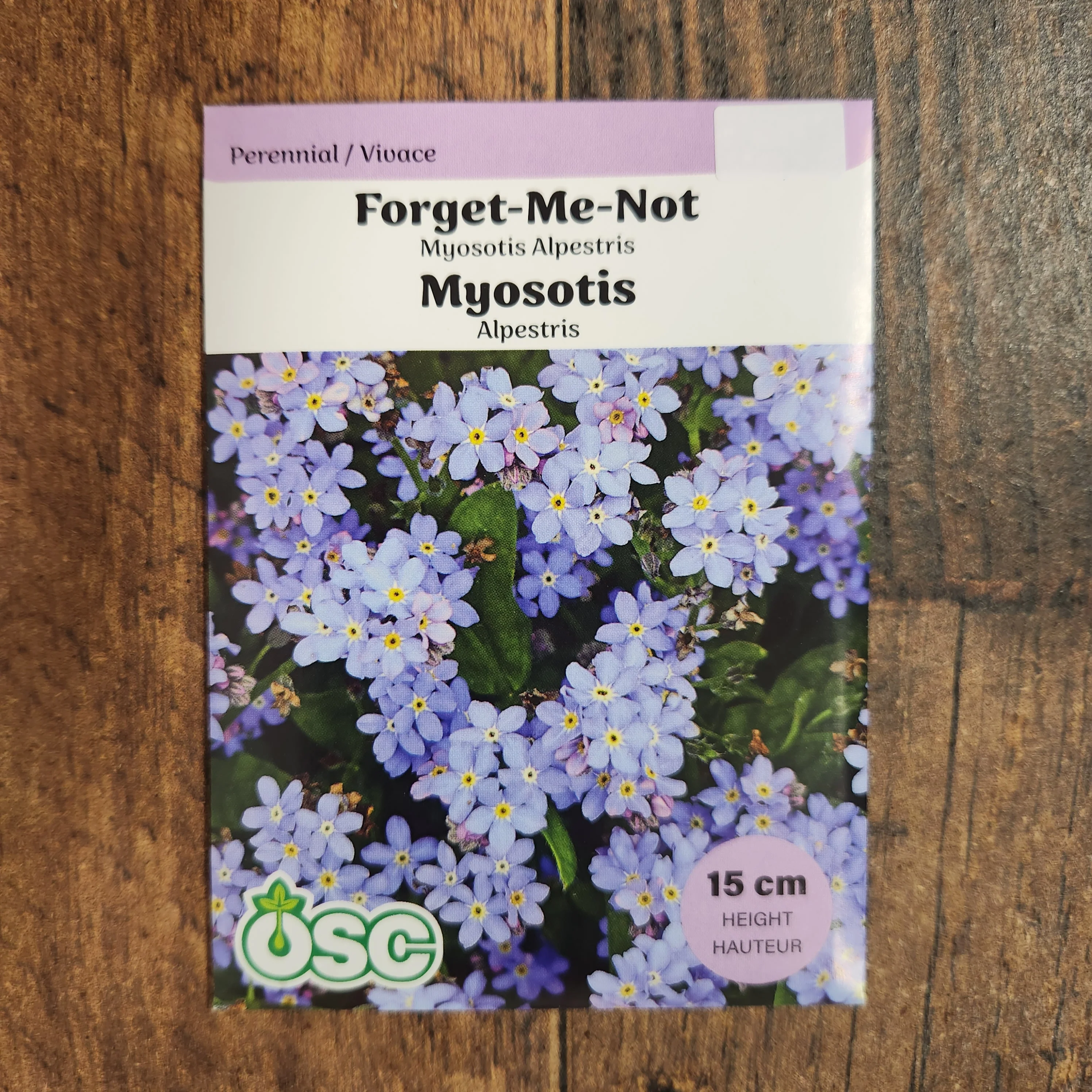 Myosotis Alpestris Bleu 'Forget-Me-Not' - Image 2
