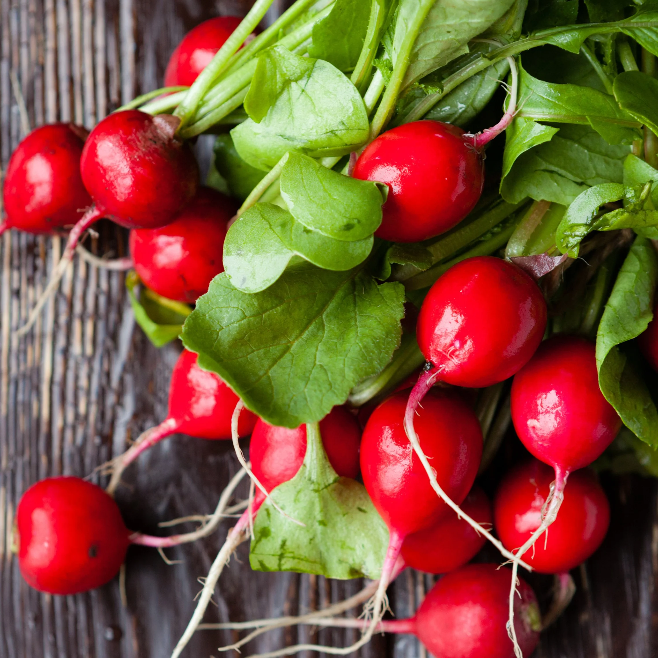 Radis 'Cherry Belle'