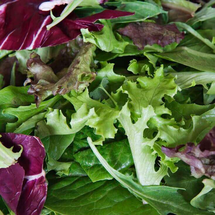 Mélange de mesclun sur ruban