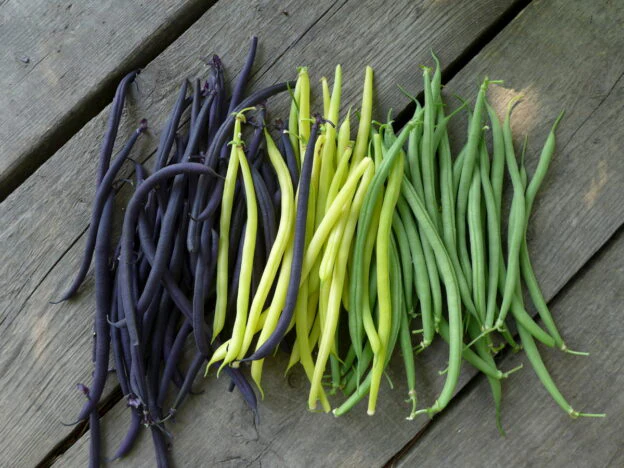 Mélange de haricots filet