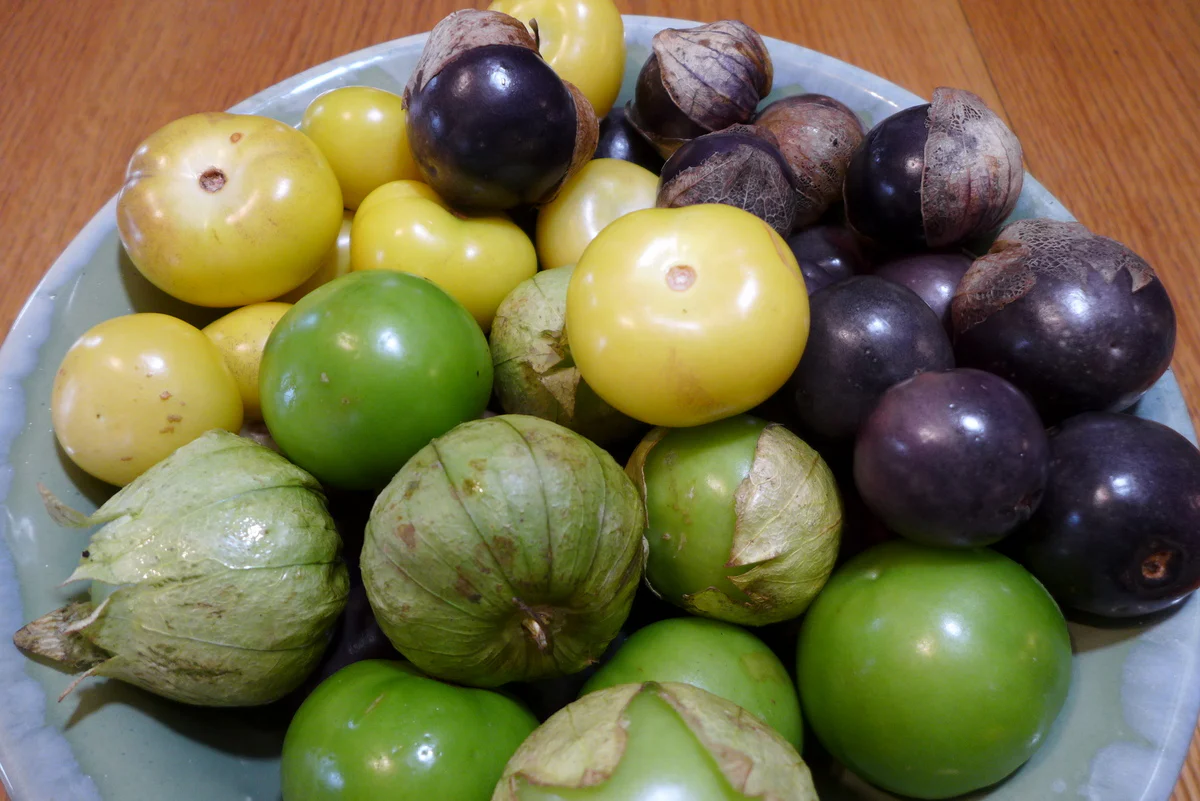 Mélange de tomatillo 3 variétés