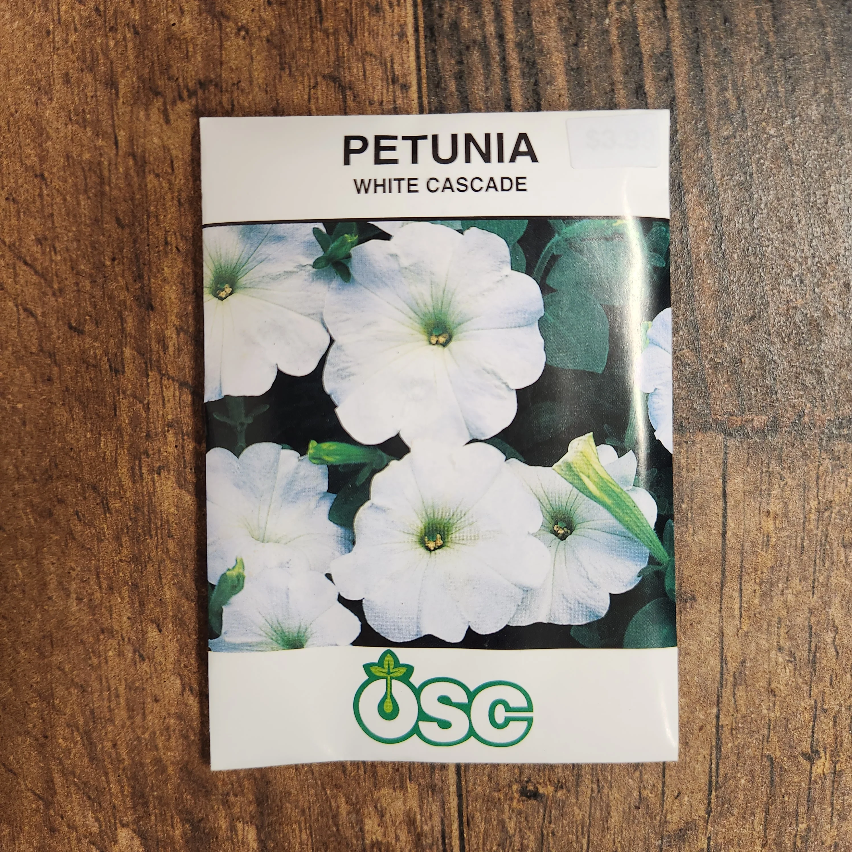 Pétunia cascade 'White' - Image 2