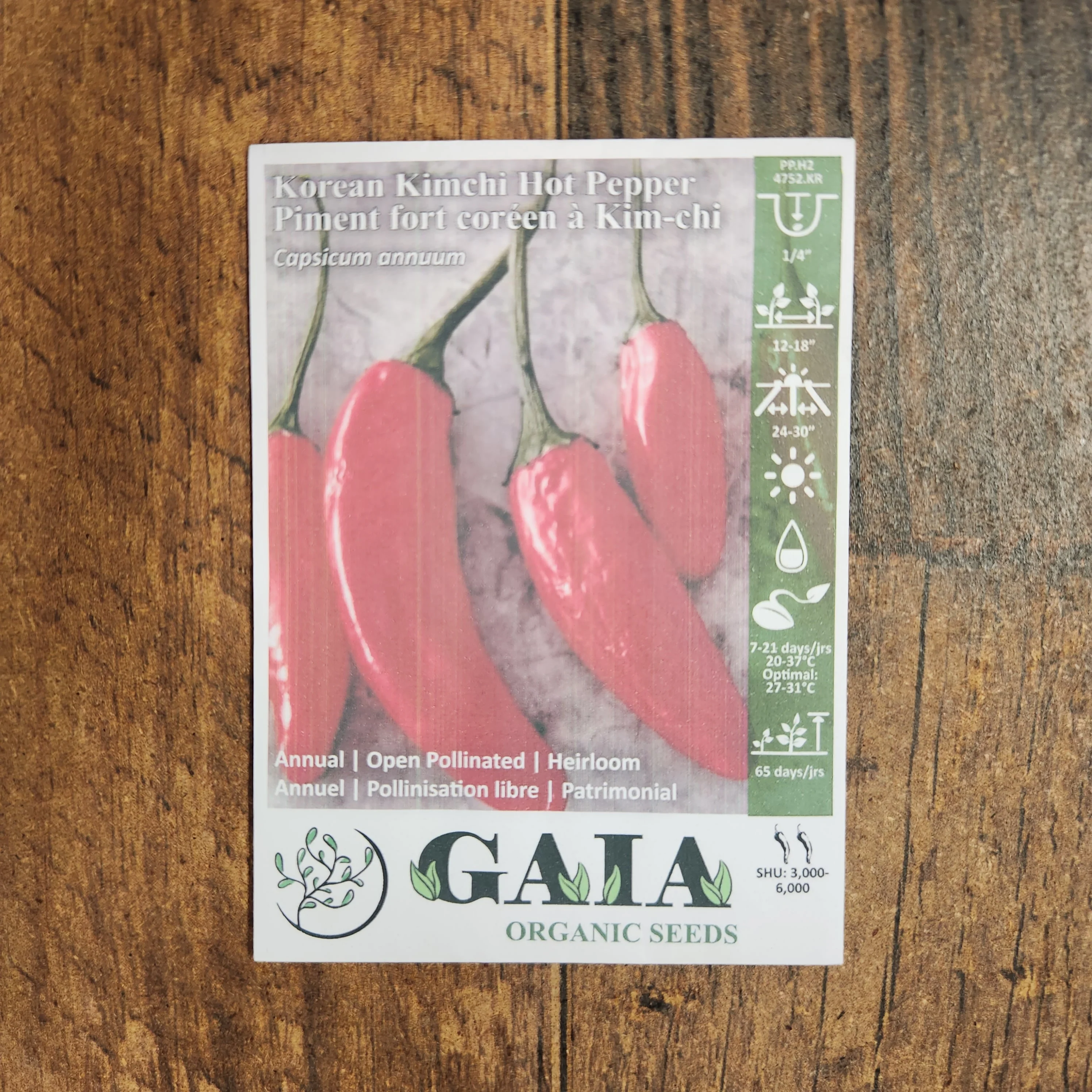 Piment fort 'Korean Kimchi' bio - Image 2
