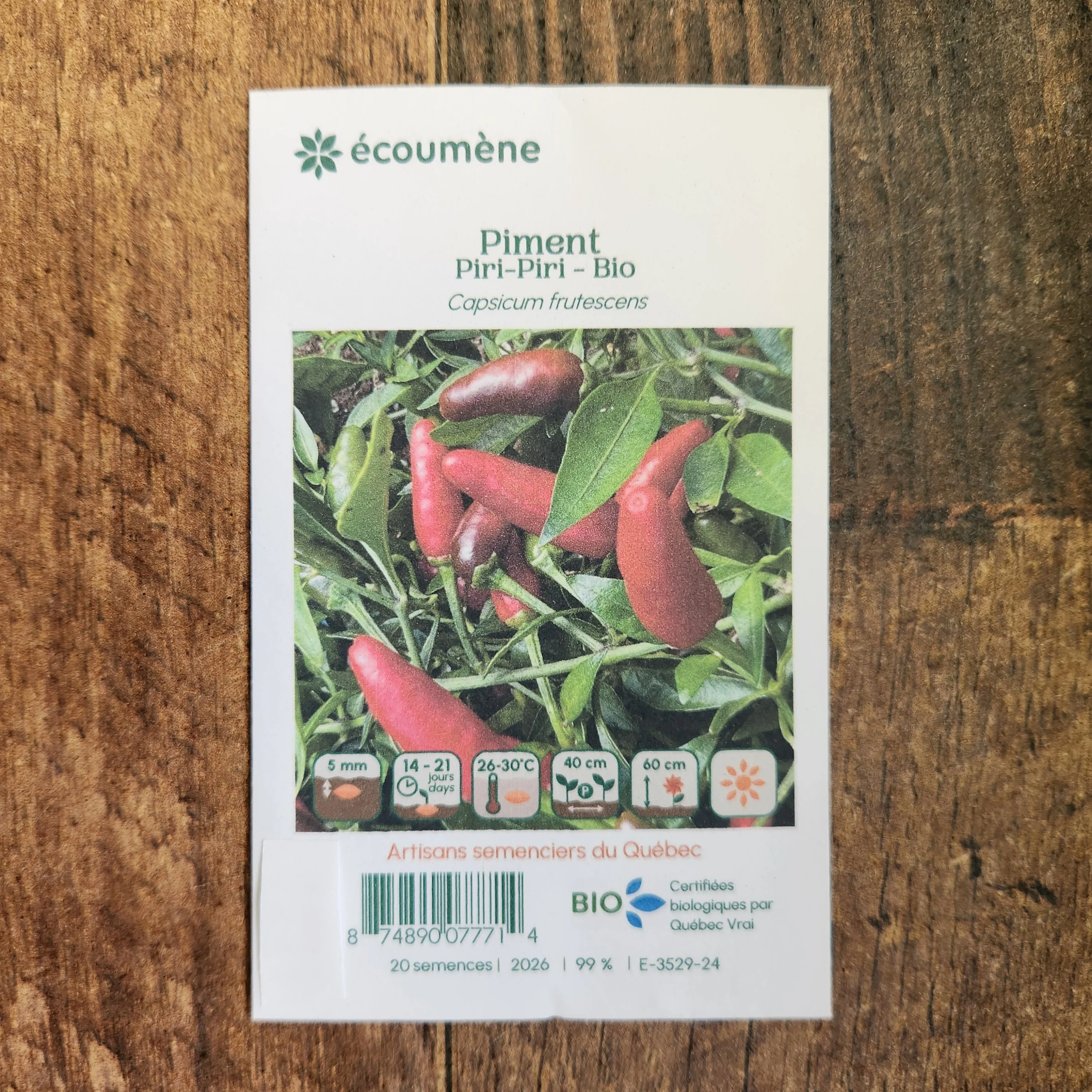 Piment fort 'Piri-Piri' bio - Image 2