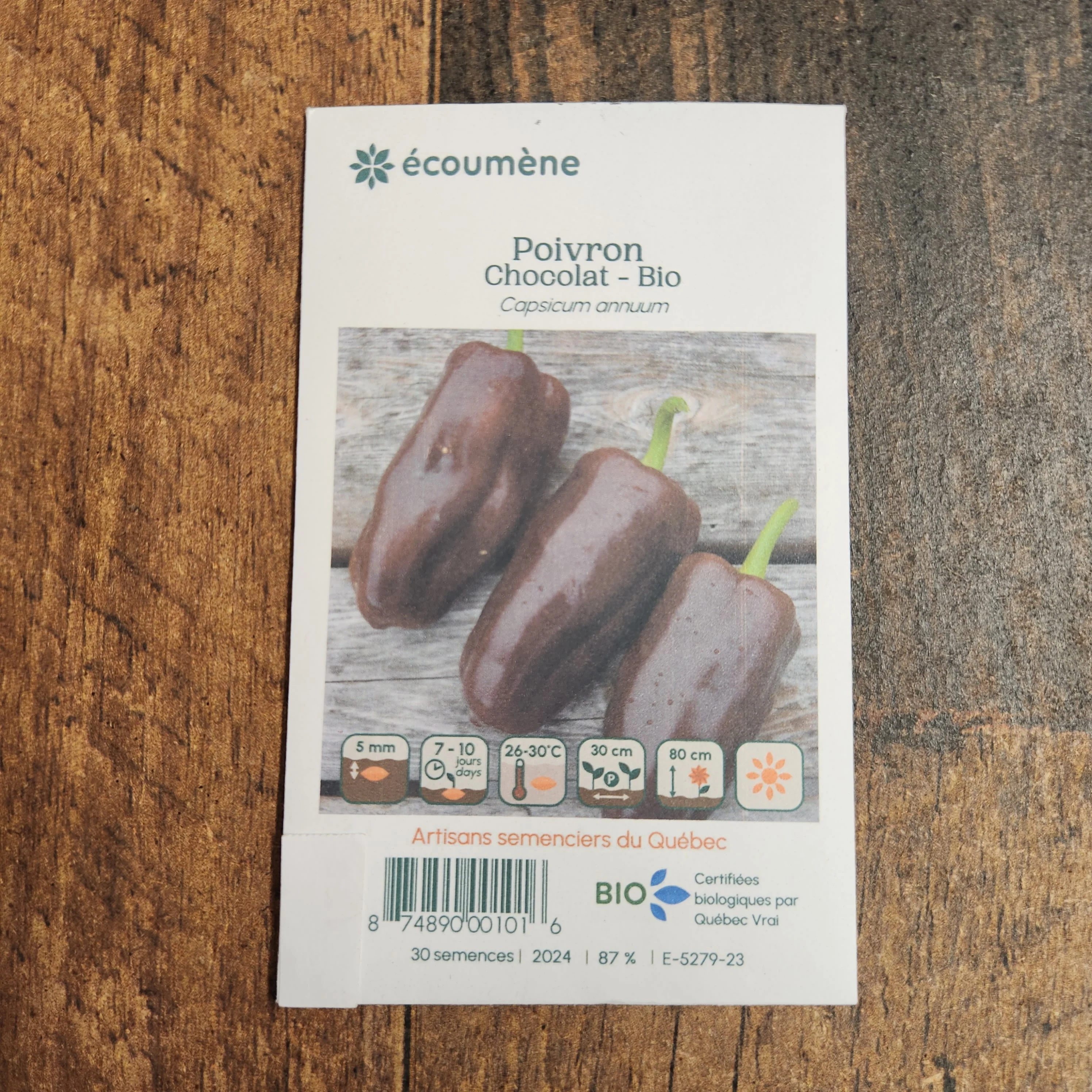Poivron brun 'Chocolat' bio - Image 2