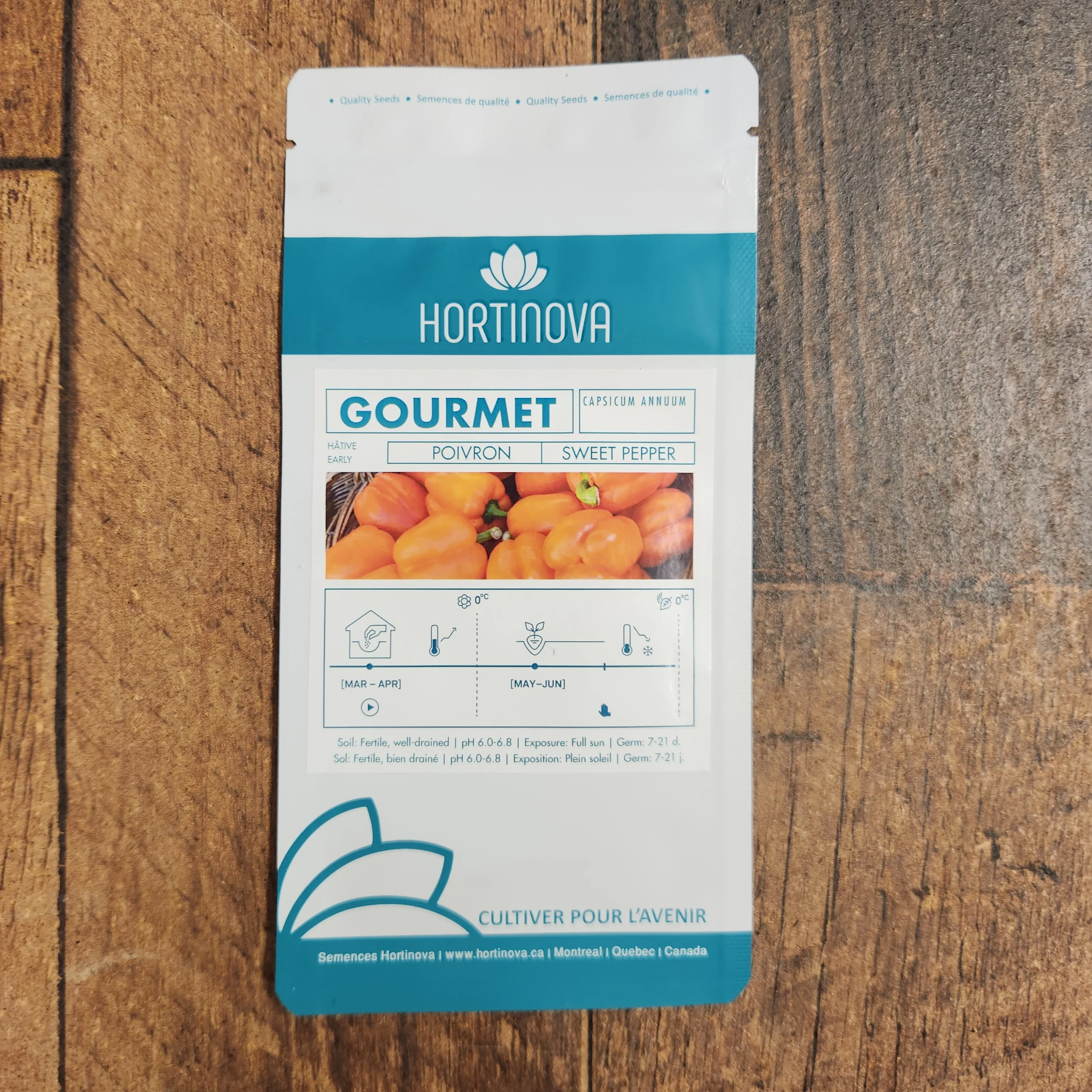 Poivron orange 'Gourmet' - Image 2