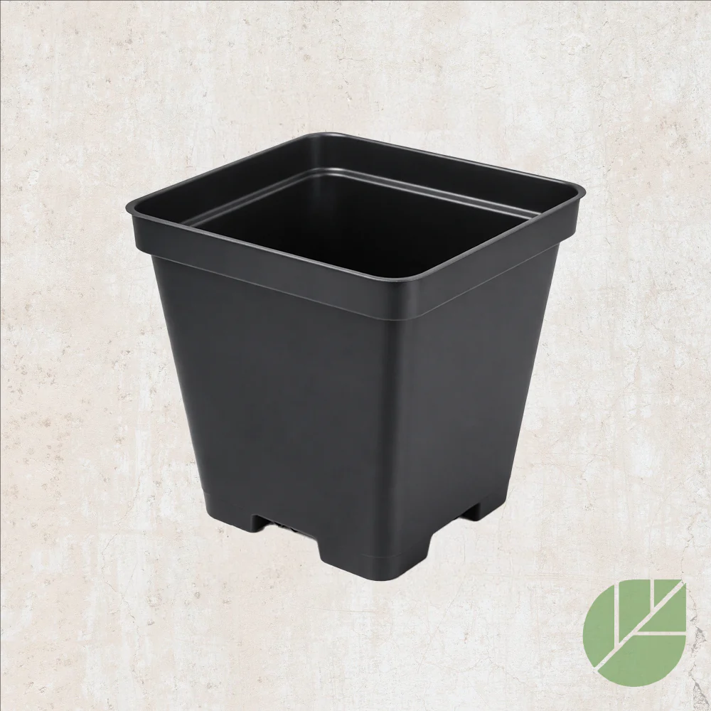 Pot de culture en plastique carré noir avec drainage - Image 3