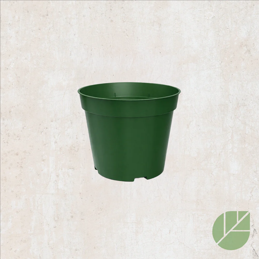 Pot de culture en plastique avec drainage - Image 3