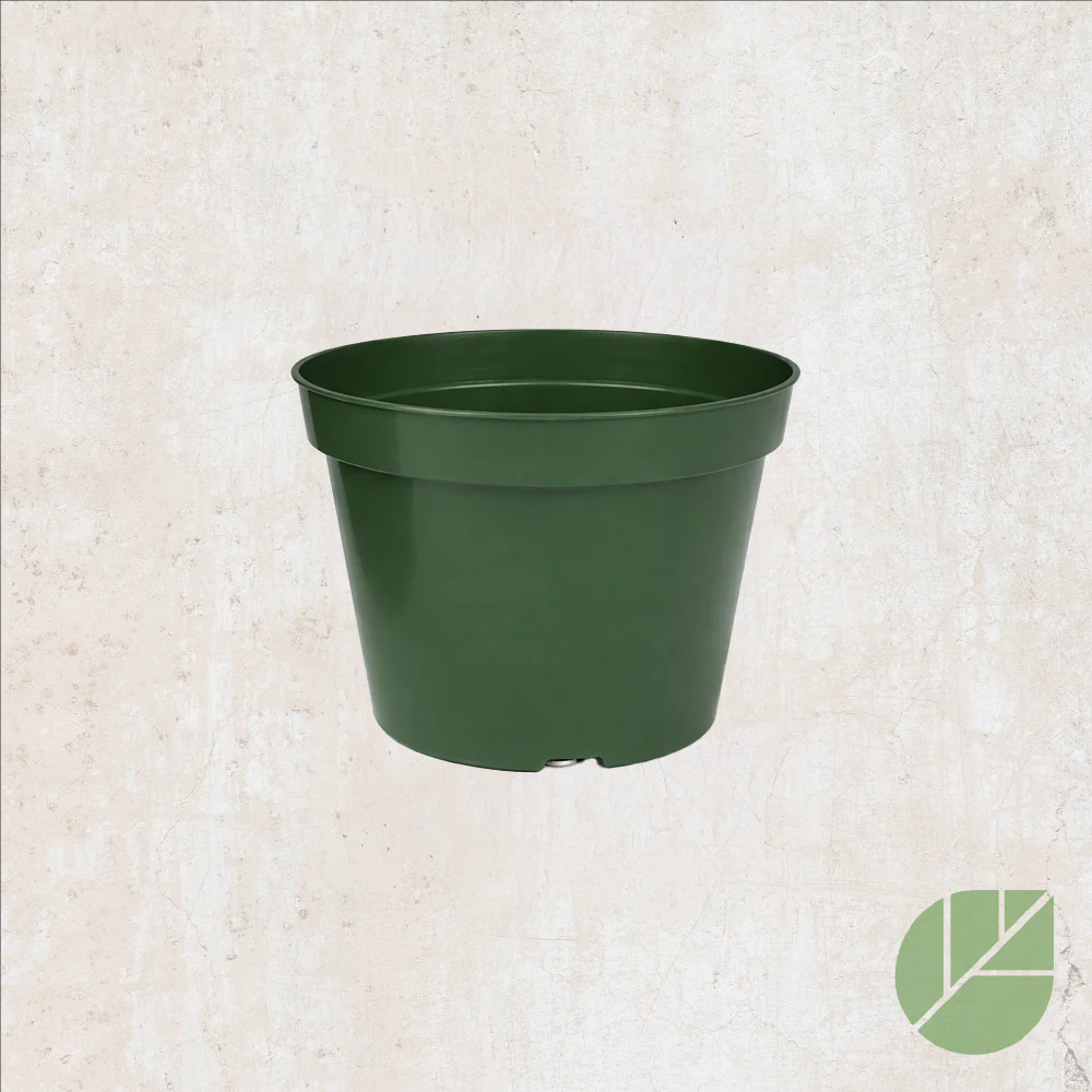 Pot de culture en plastique avec drainage - Image 4