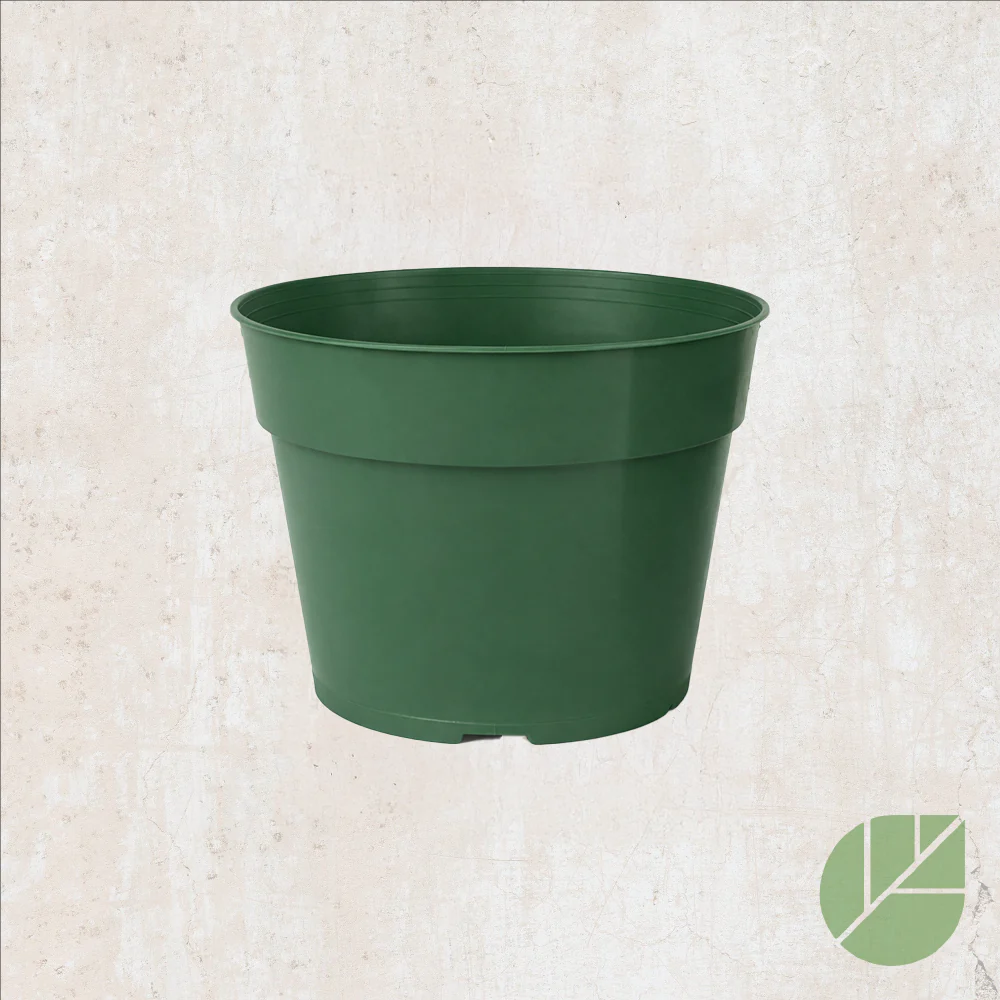 Pot de culture en plastique avec drainage - Image 5
