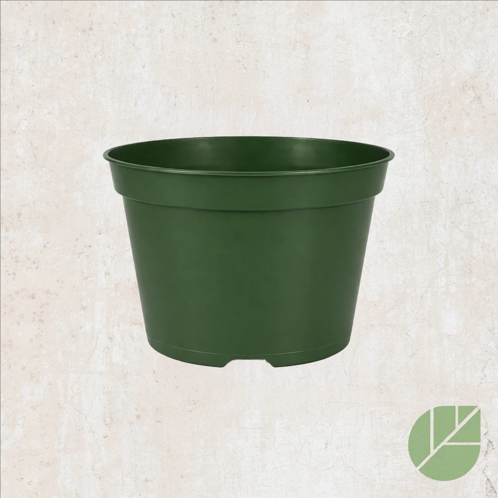 Pot de culture en plastique avec drainage - Image 6