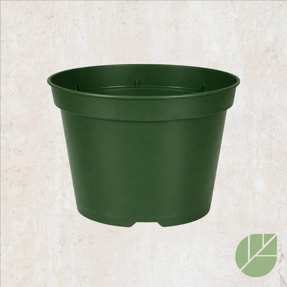Pot de culture en plastique avec drainage - Image 7