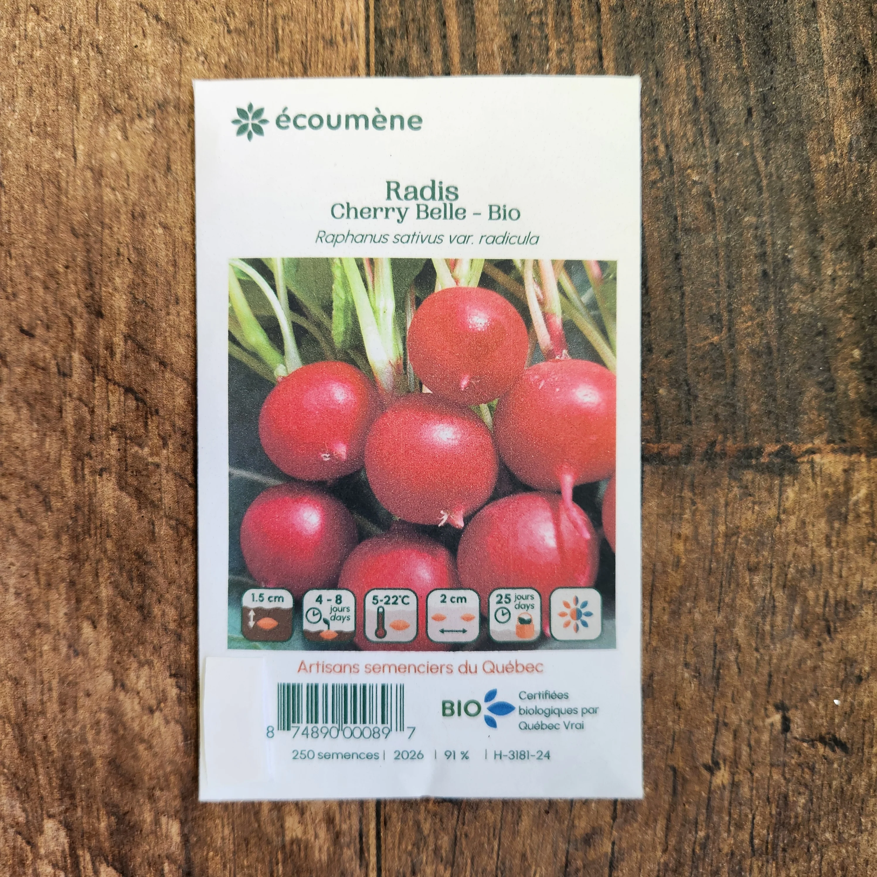 Radis 'Cherry Belle' bio - Image 2