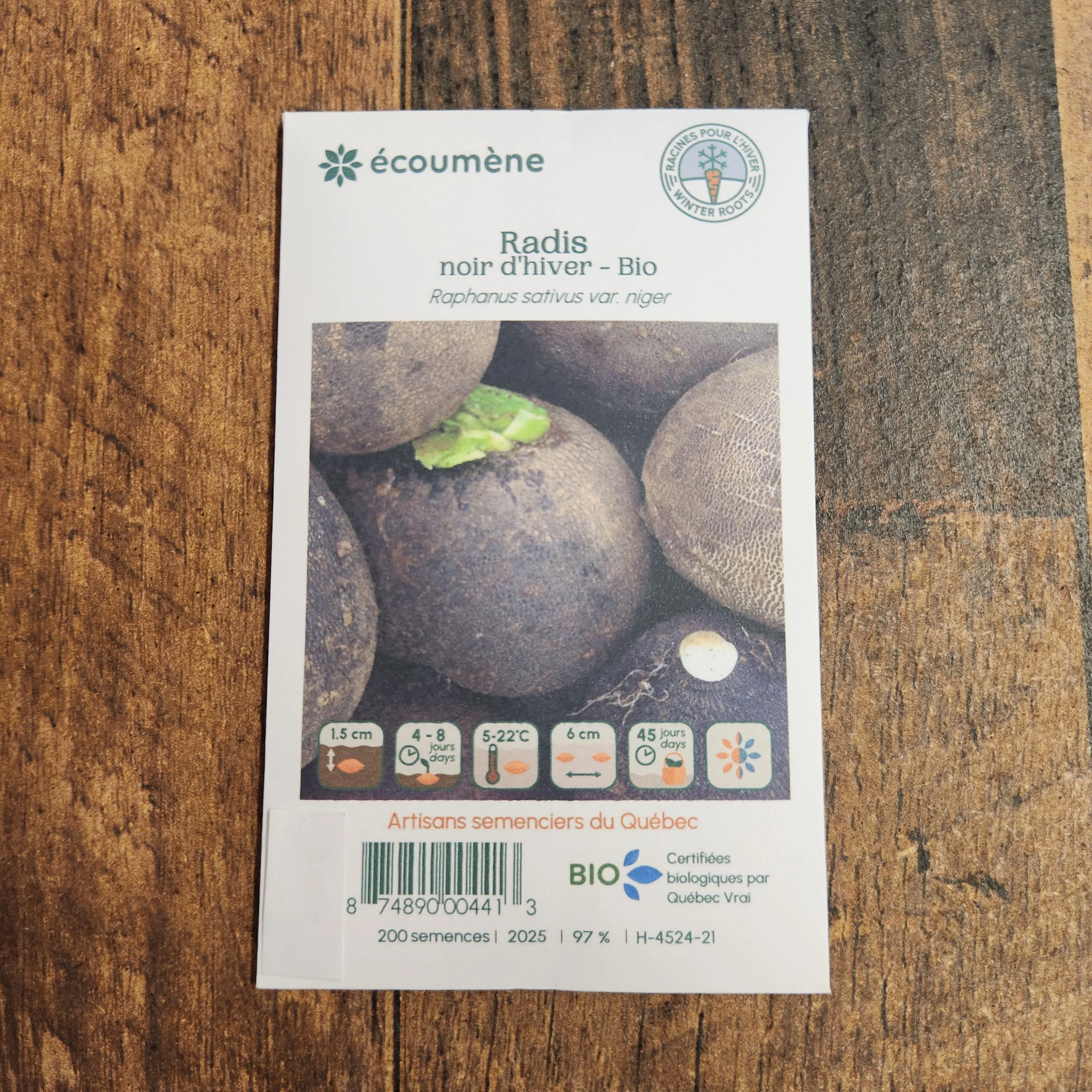 Radis Noir d'hiver bio - Image 2