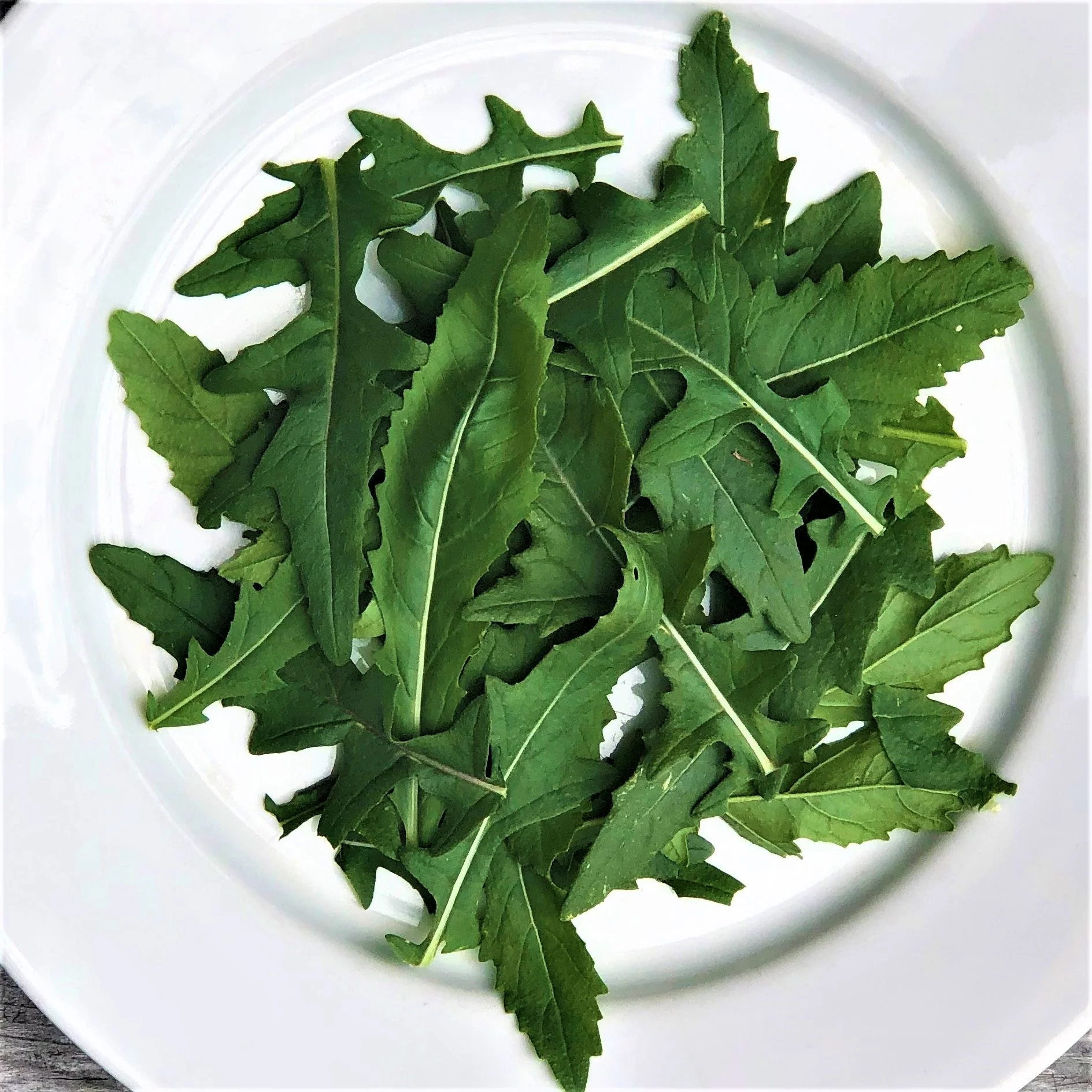 Roquette Japonaise 'Wasabi' bio