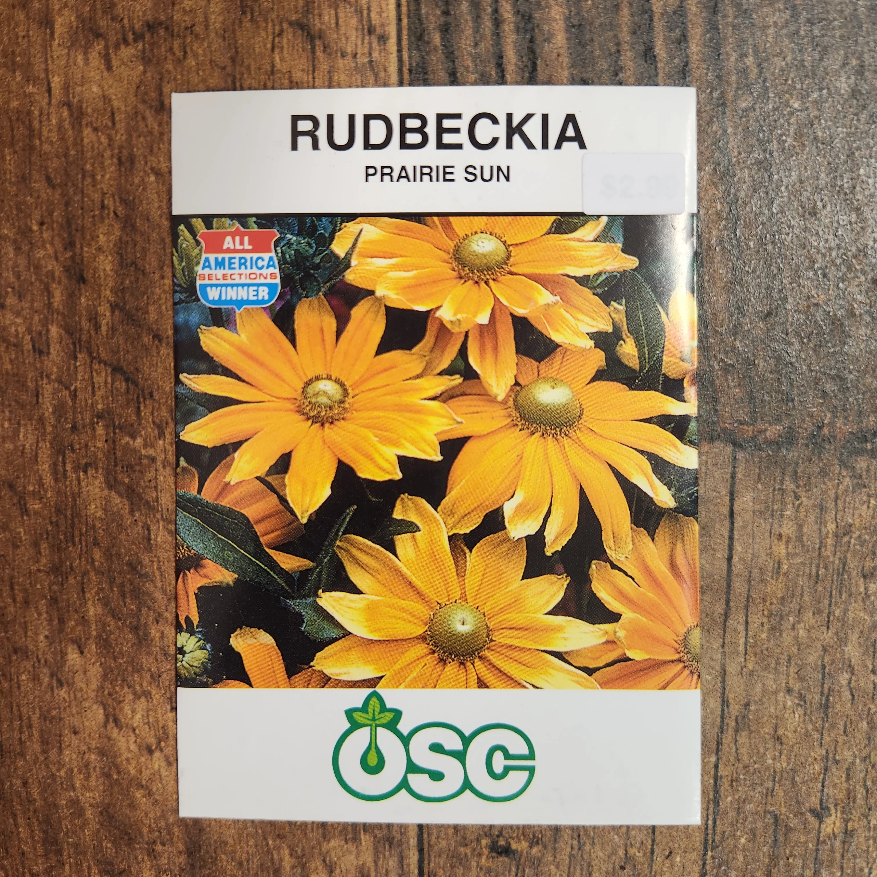 Rudbeckie 'Prairie Sun' - Image 2