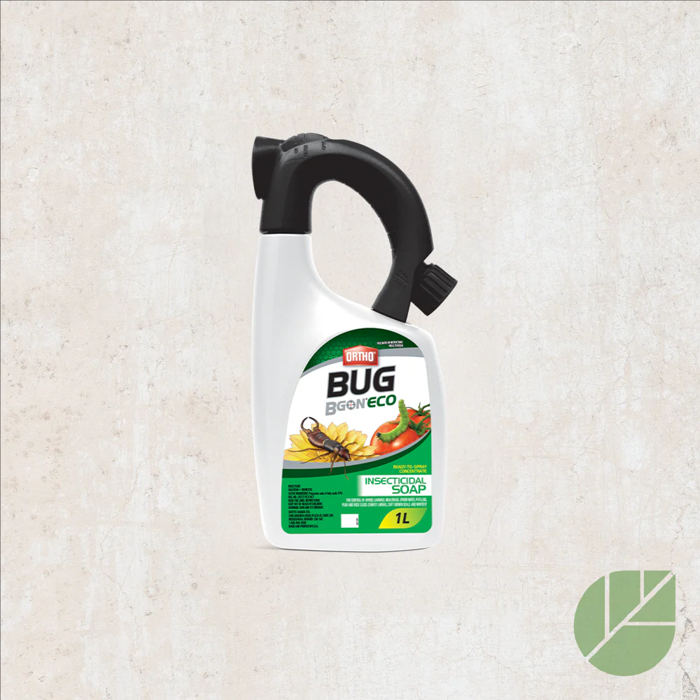 Savon Insecticide Concentré BUG Bgon ECO de Ortho – avec Adaptateur Boyau