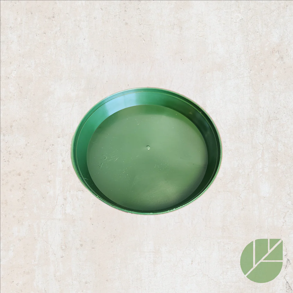Soucoupe verte en plastique pour pot de culture - Image 2