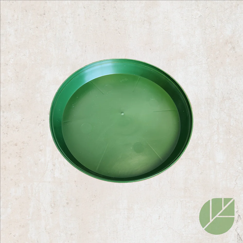 Soucoupe verte en plastique pour pot de culture - Image 3