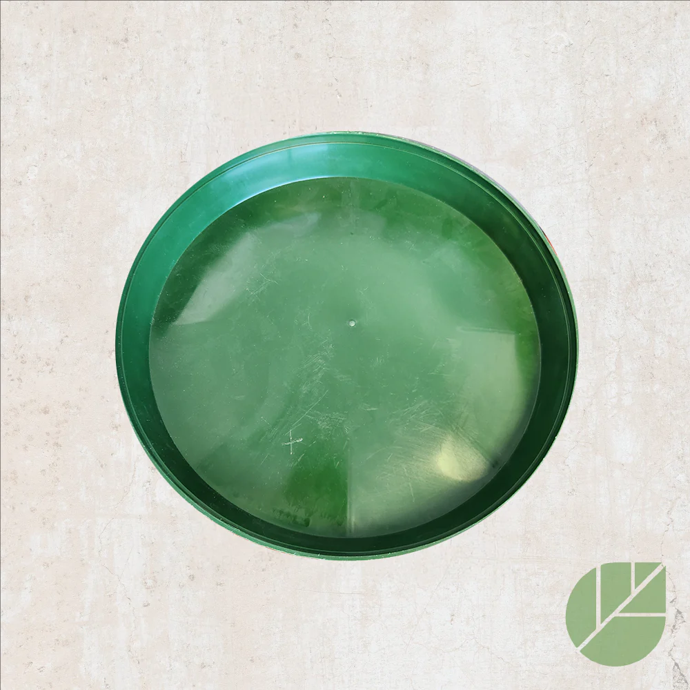 Soucoupe verte en plastique pour pot de culture - Image 4
