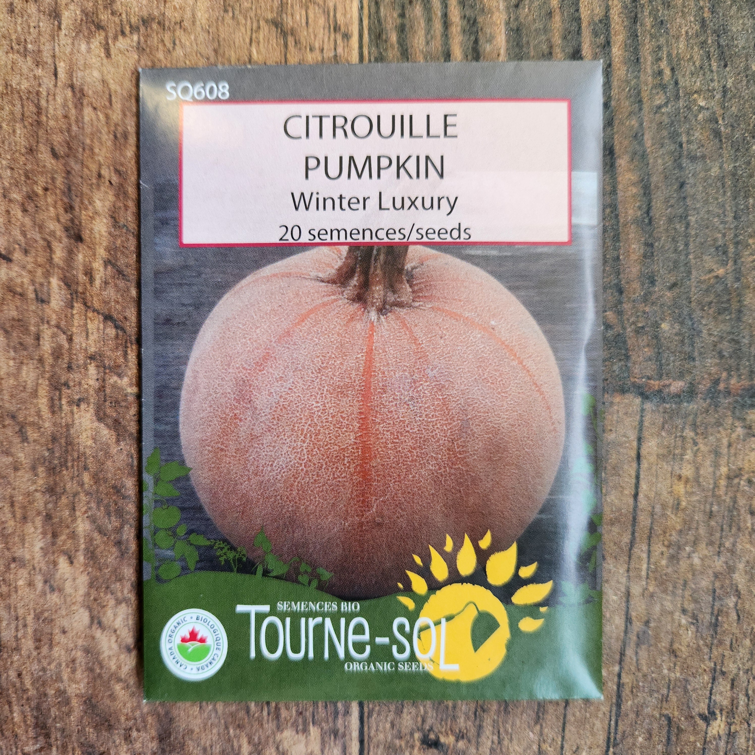 Citrouille 'Winter Luxury' bio - Image 2