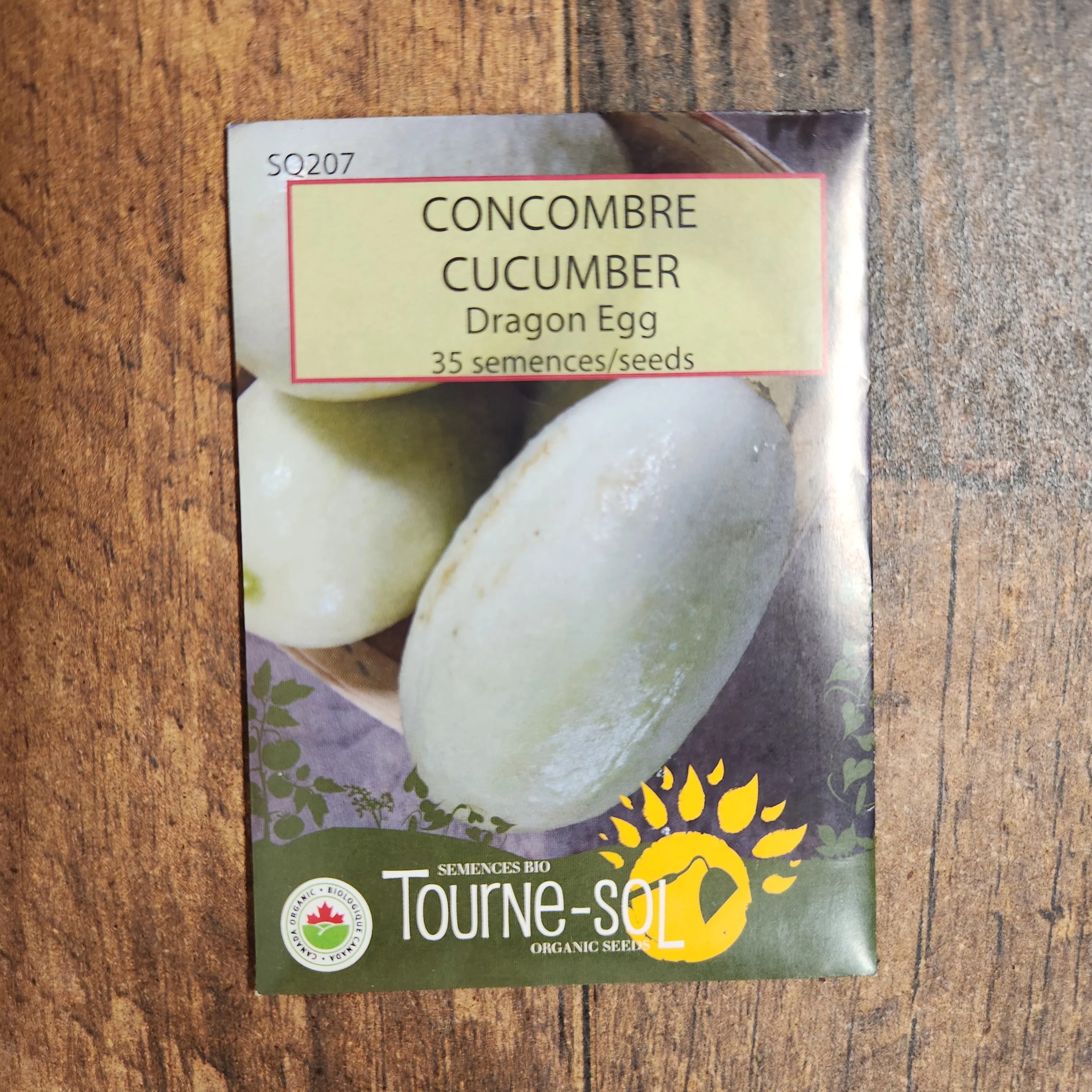Concombre 'Dragon Egg' bio - Image 2
