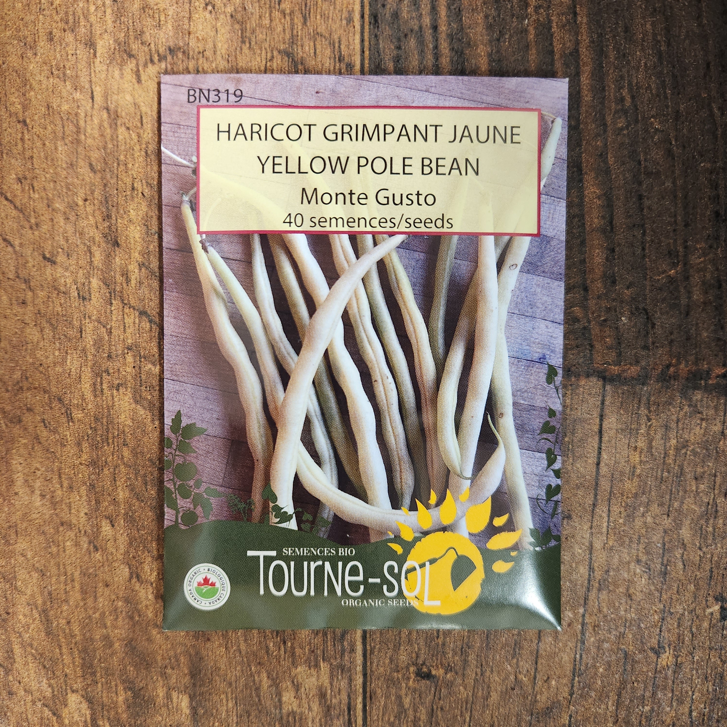 Haricot grimpant 'Monte Gusto' bio - Image 2