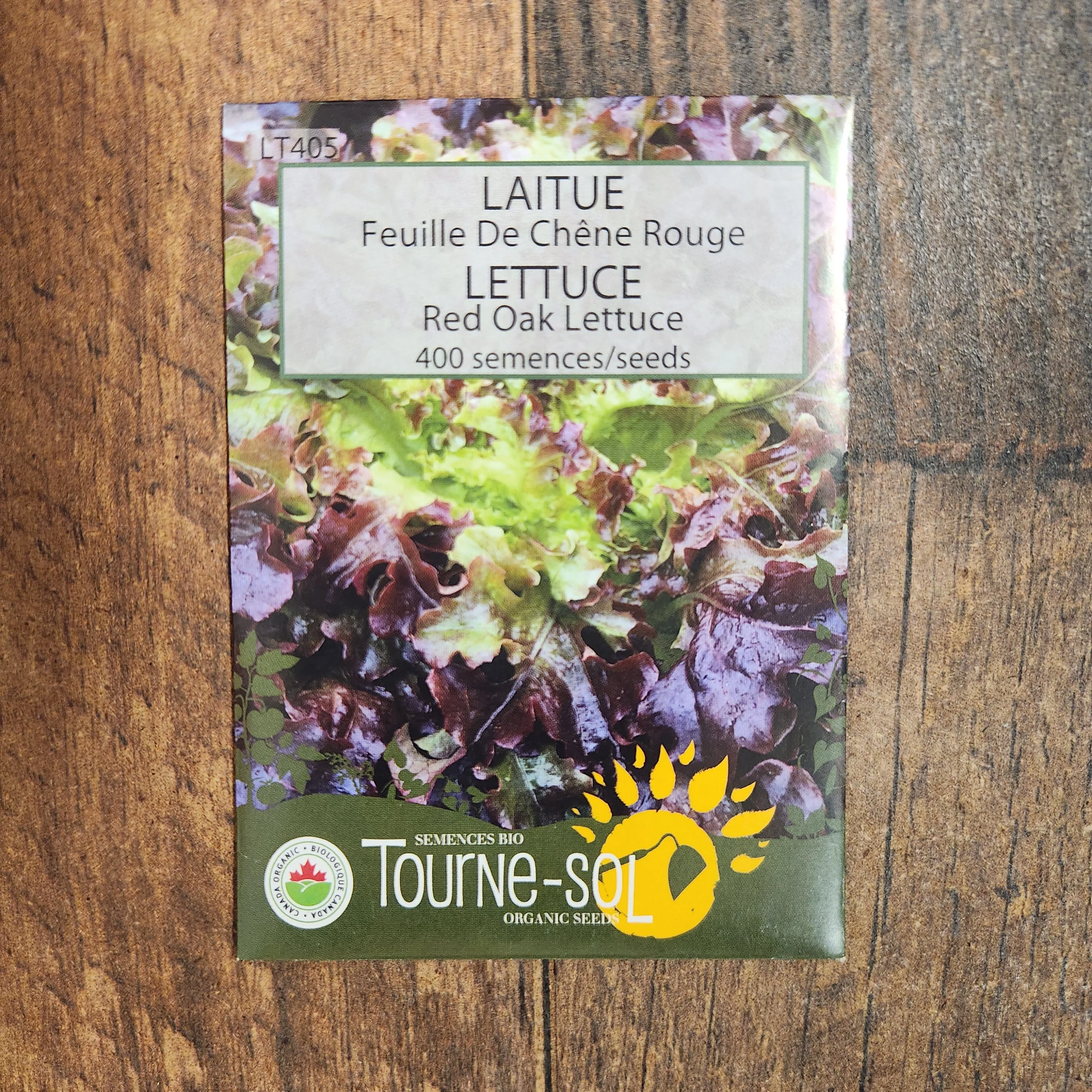 Laitue feuille de chĂȘne rouge bio - Image 2