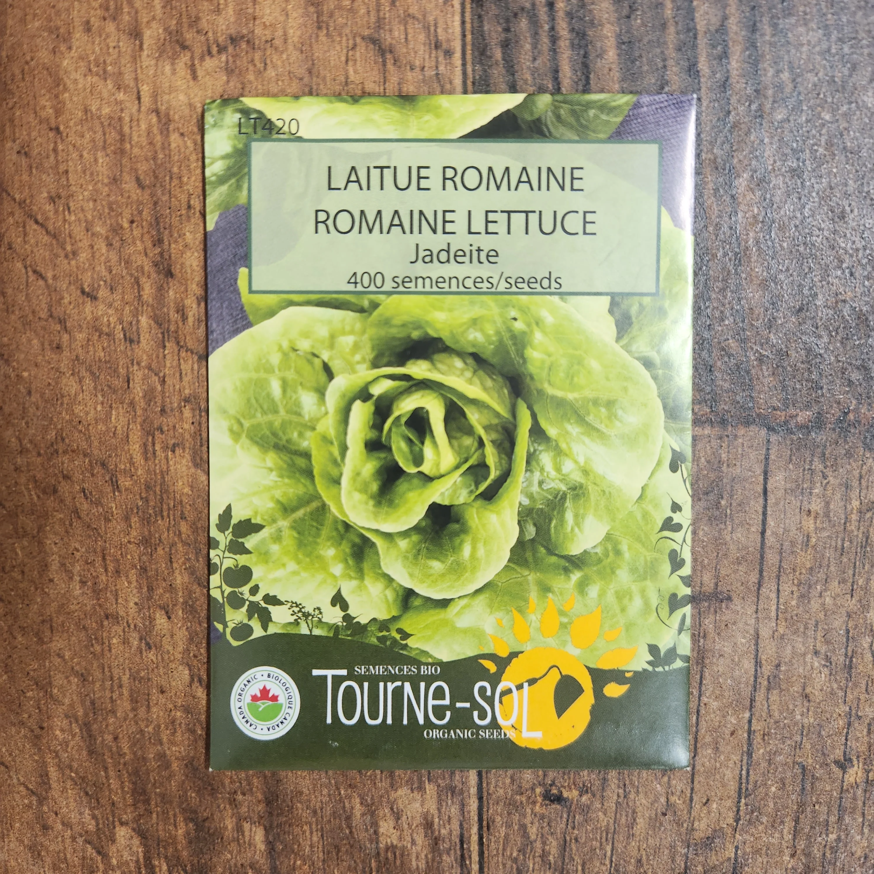 Laitue romaine 'Jadeite' bio - Image 2